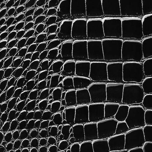 Capucines Bb Crocodilien Brillant in Women's Handbags Capucines collections by Louis Vuitton (Product zoom)