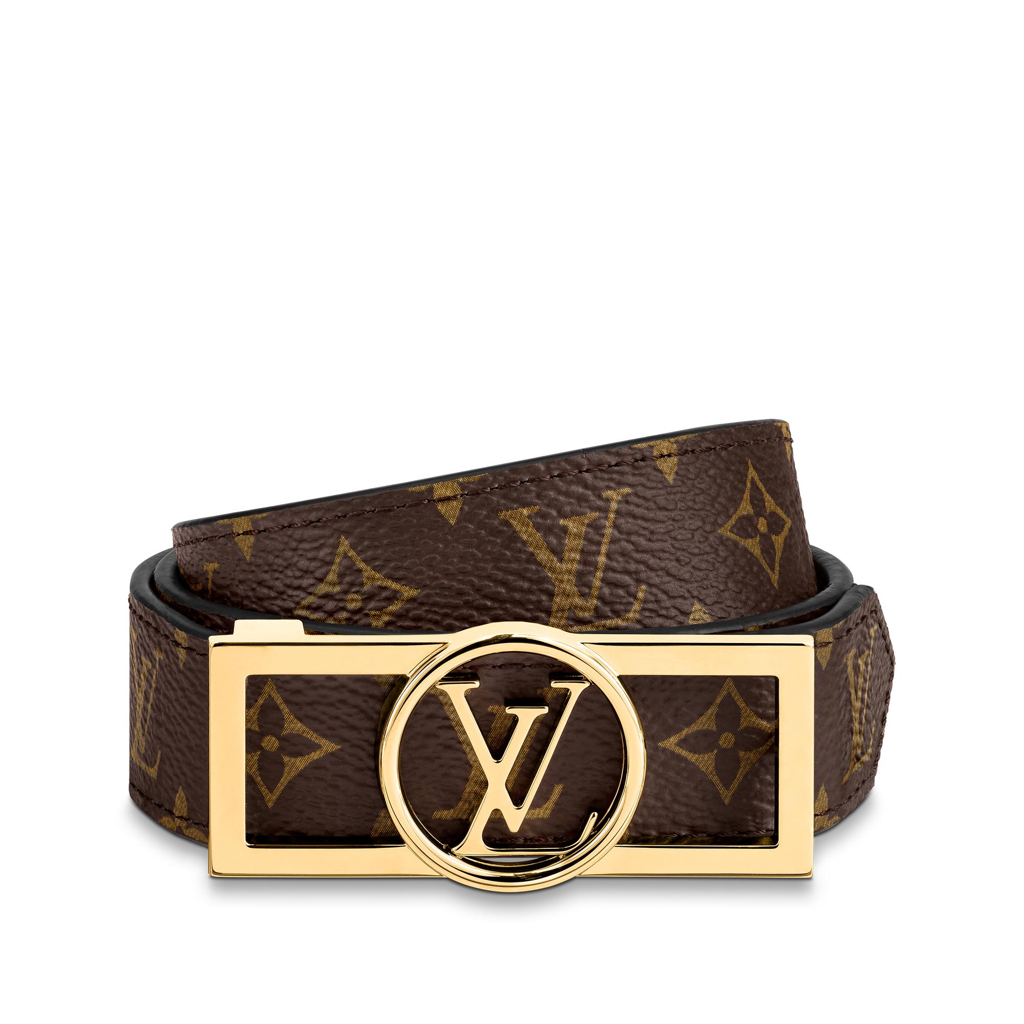 Louis Vuitton Dauphine Reversible Belt Monogram Brown Louis Vuitton Dauphine Reversible Canvas Medium Belt 90/36  main image 4