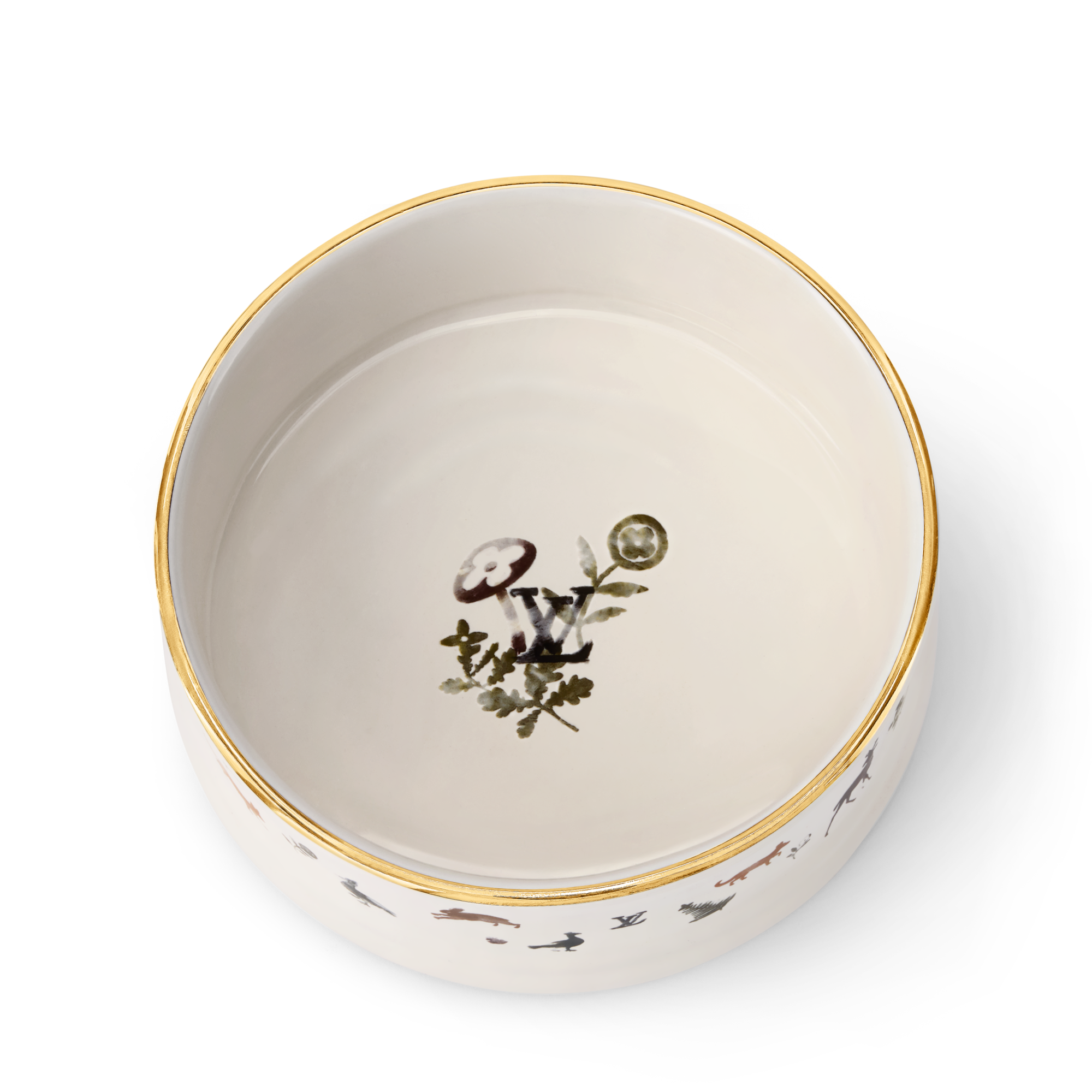 Dog Bowl . in Trunks, Travel and Home