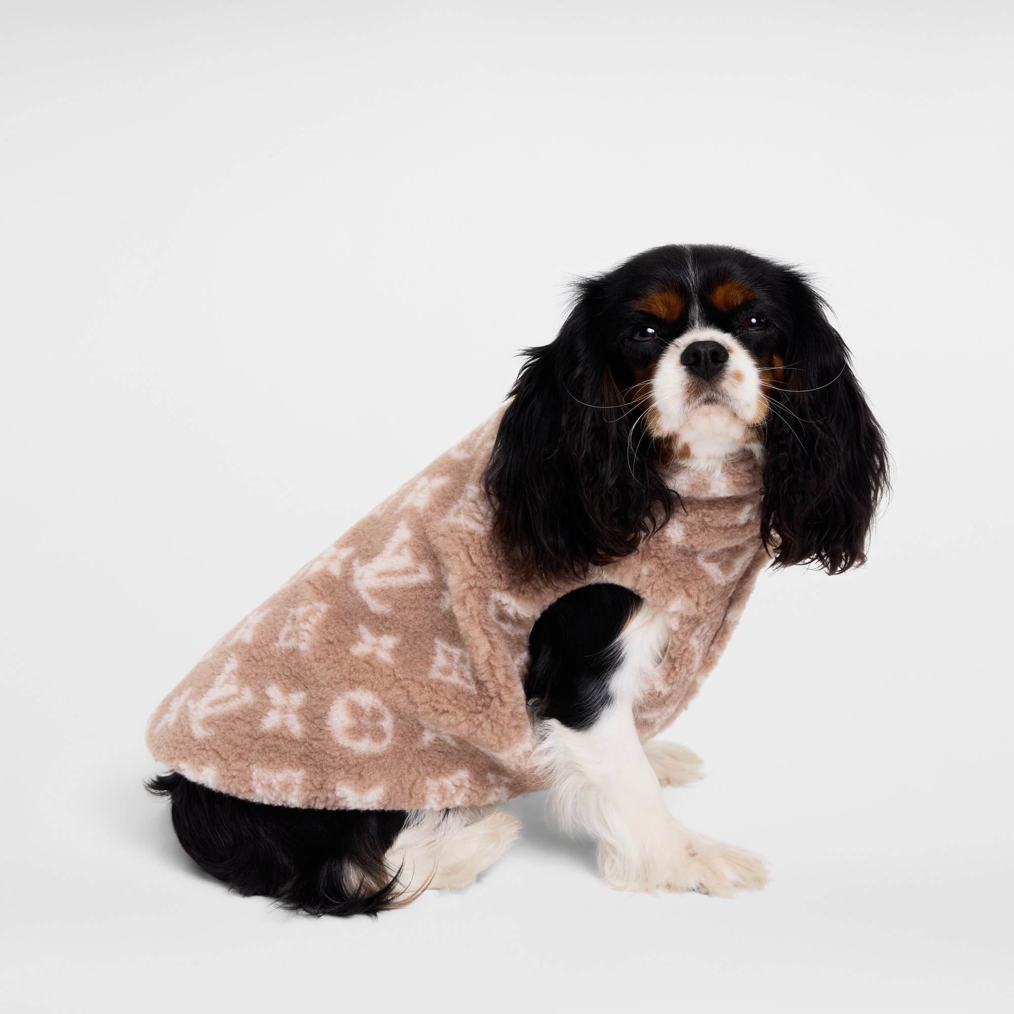 Dog Fleece Jacket PM . in Trunks, Travel and Home
