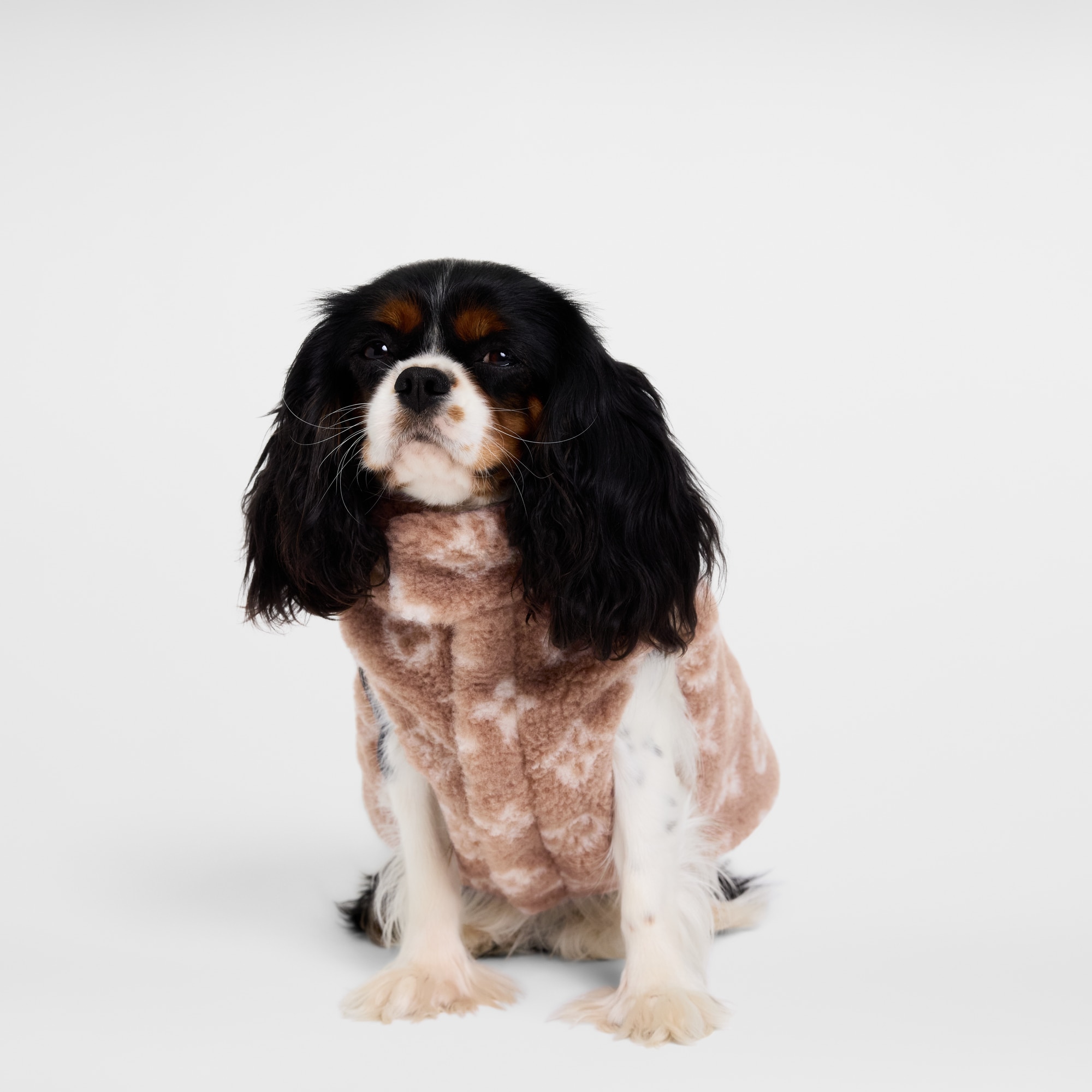 Dog Fleece Jacket PM . in Trunks, Travel and Home