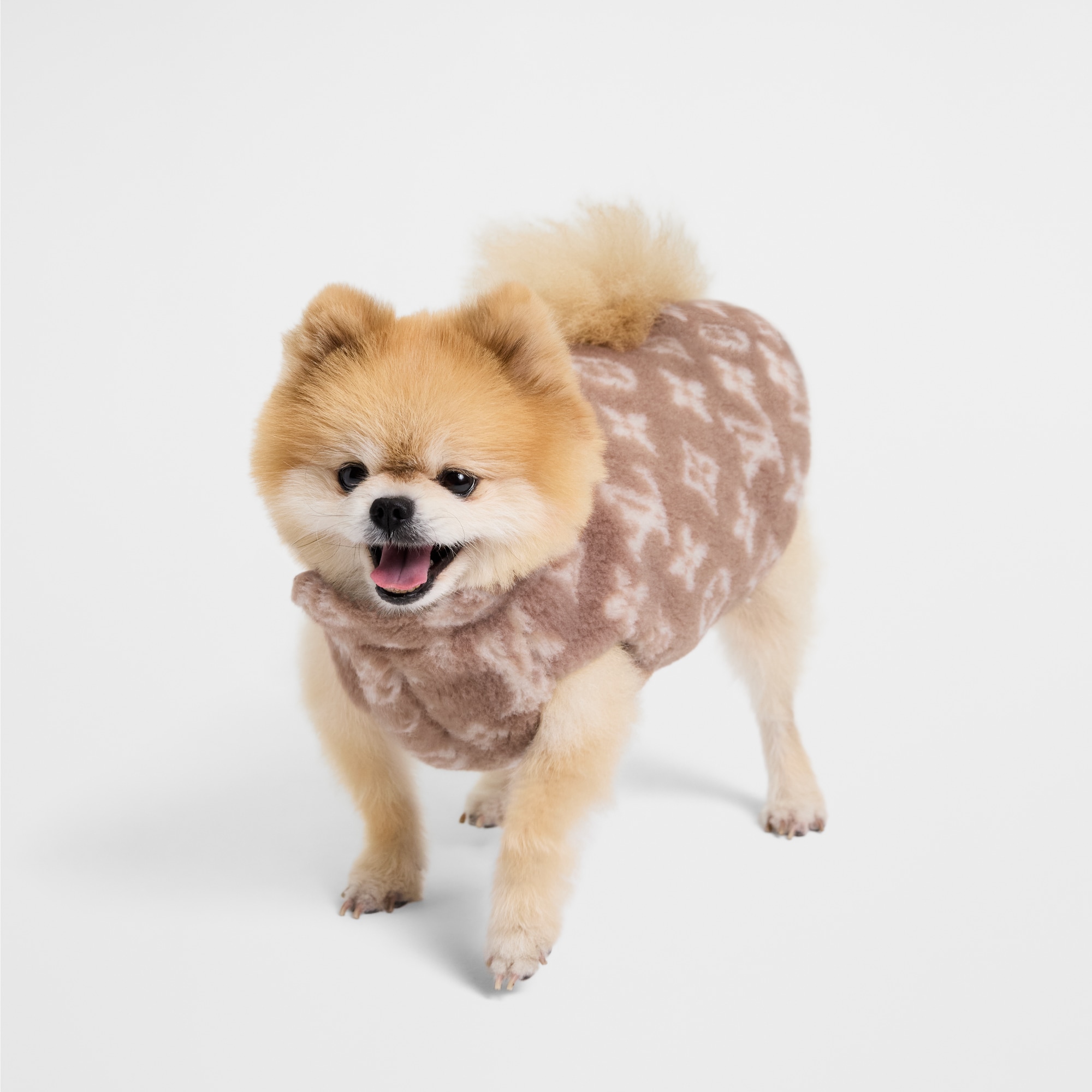 Dog Fleece Jacket XS . in Trunks, Travel and Home