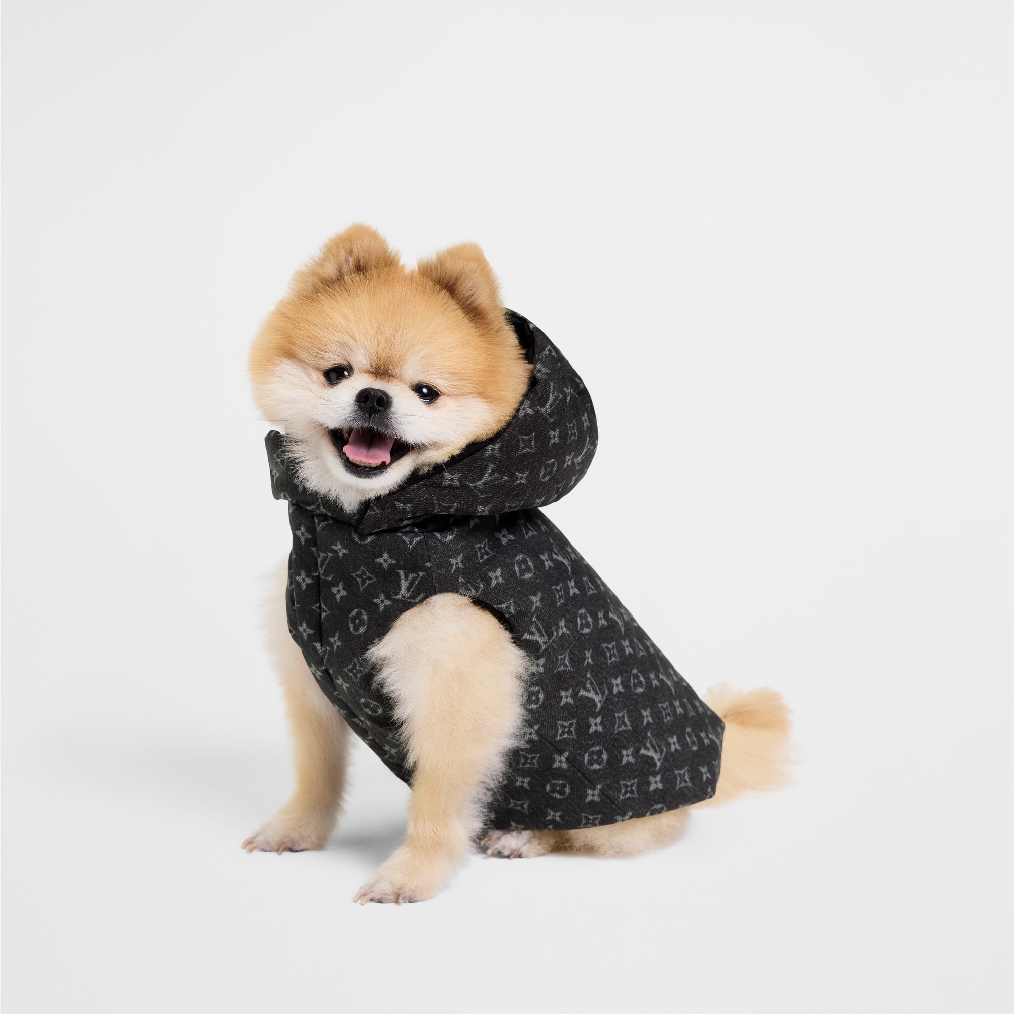 Dog Puffer Jacket XS . in Trunks, Travel and Home