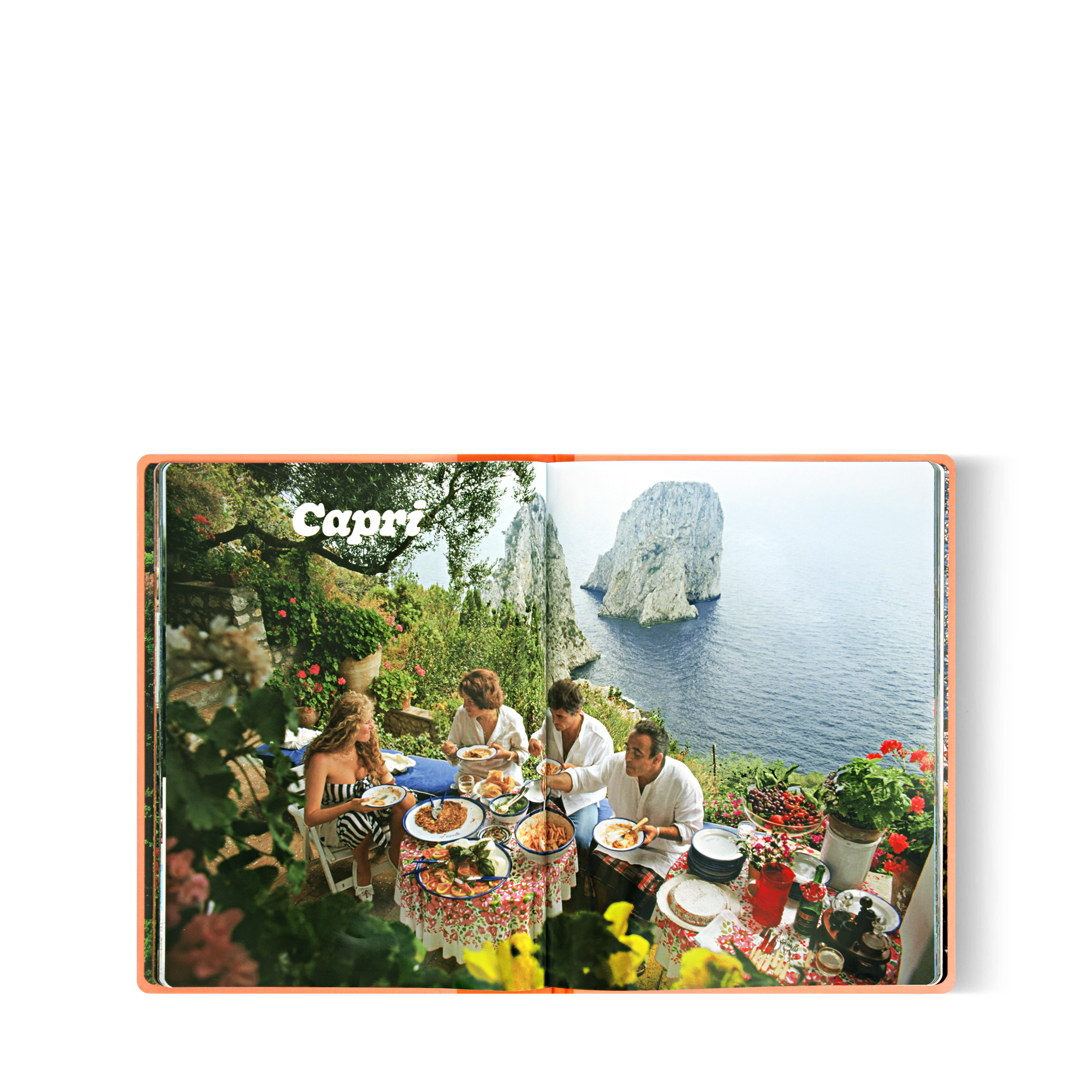 Fashion Eye Italian Rivieras  in Trunks, Travel and Home