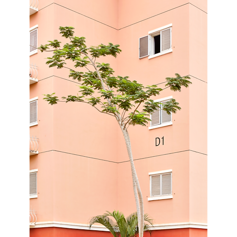 Fashion Eye Kilamba in Trunks, Travel and Home's Books and Stationery Fashion Eye Books collections by Louis Vuitton (Product zoom)