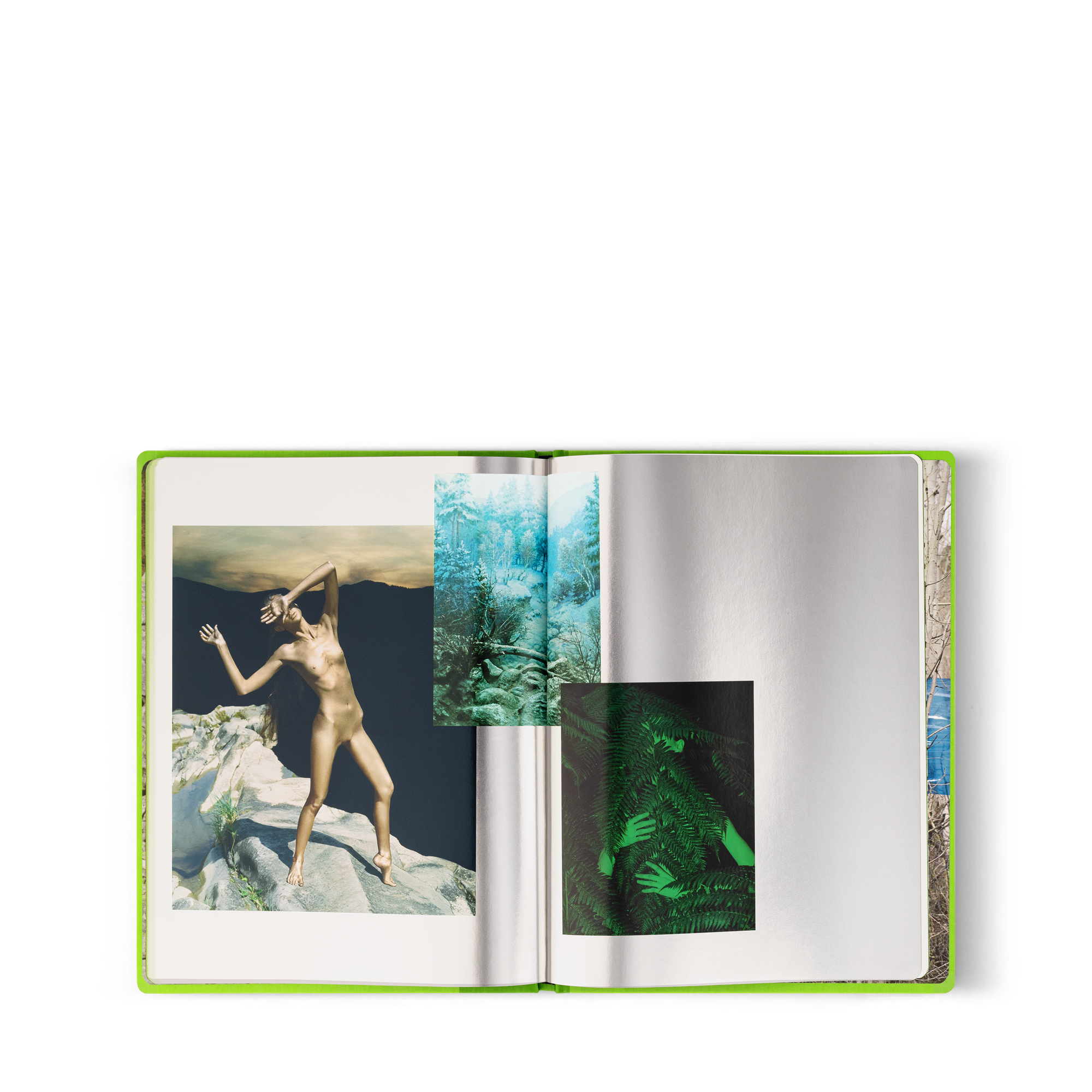 Fashion Eye Ukraine  in Trunks, Travel and Home