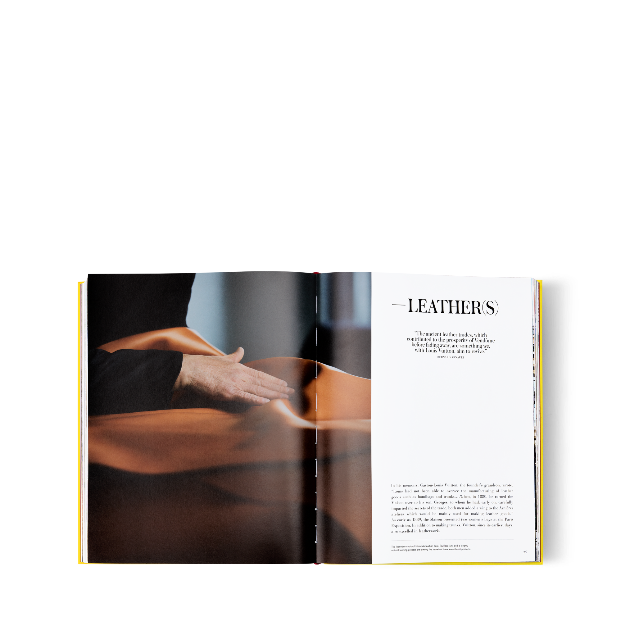 From Louis To Vuitton  in Trunks, Travel and Home