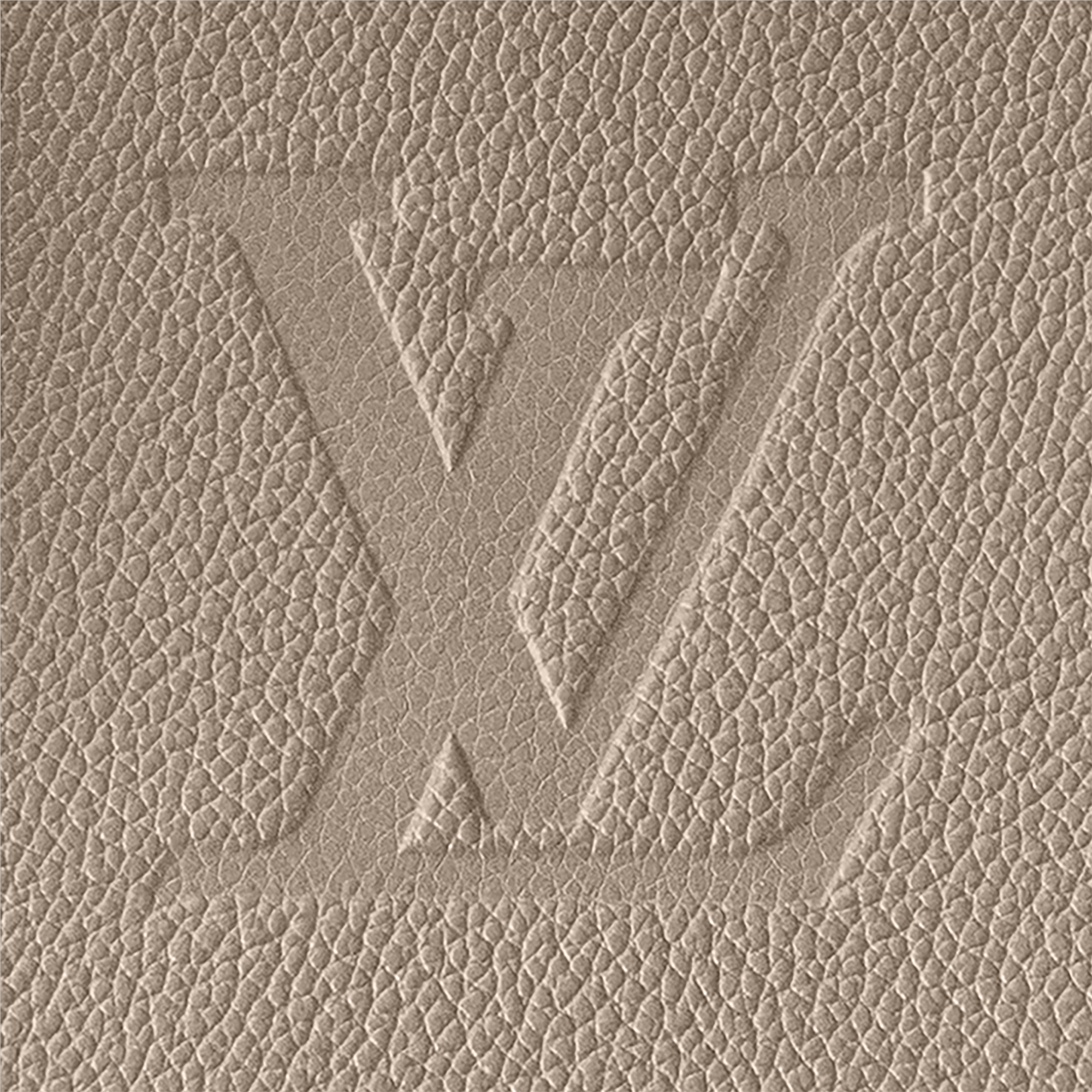 Grand Palais Monogram Empreinte Leather in Women