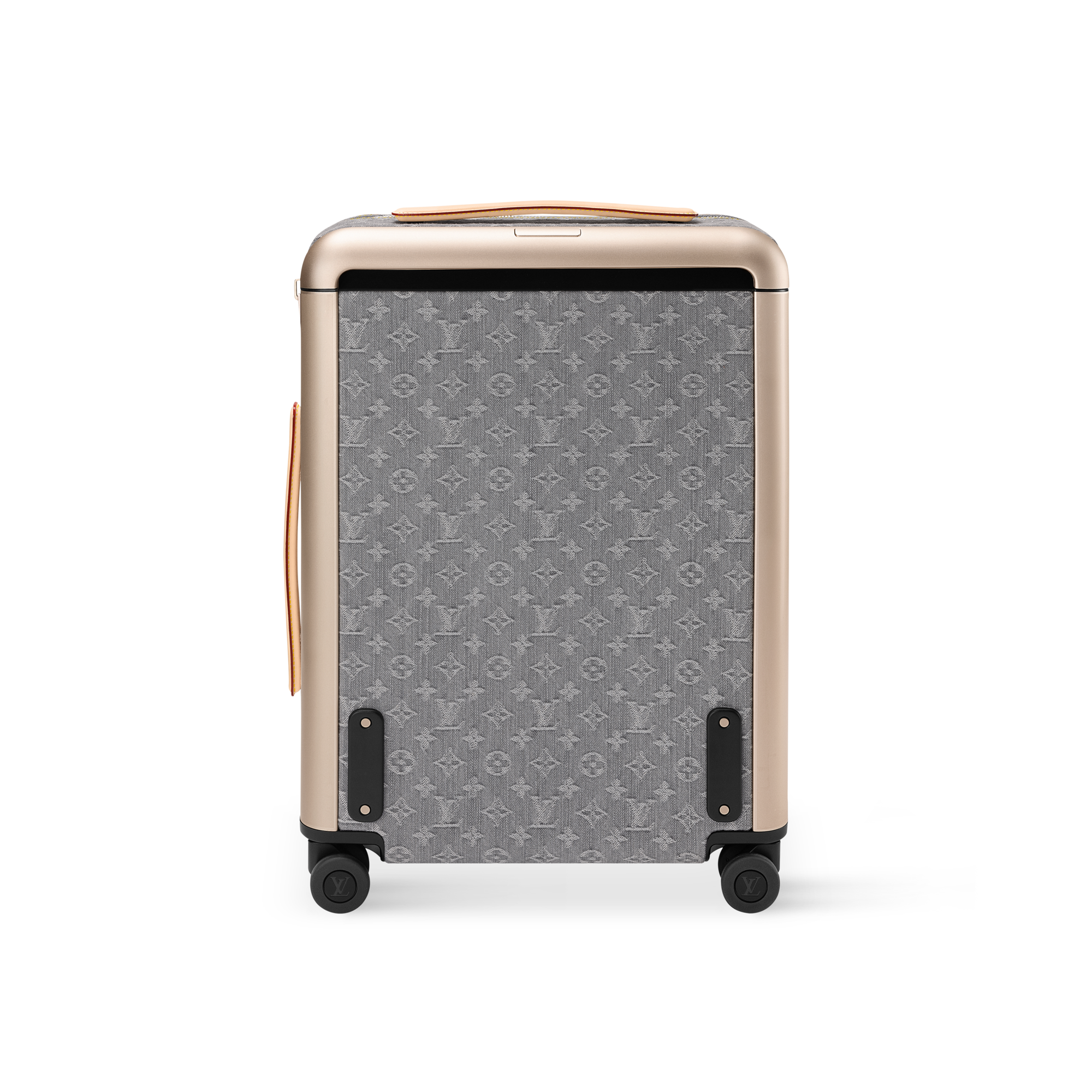 Horizon 55 Other Monogram Canvas in Women