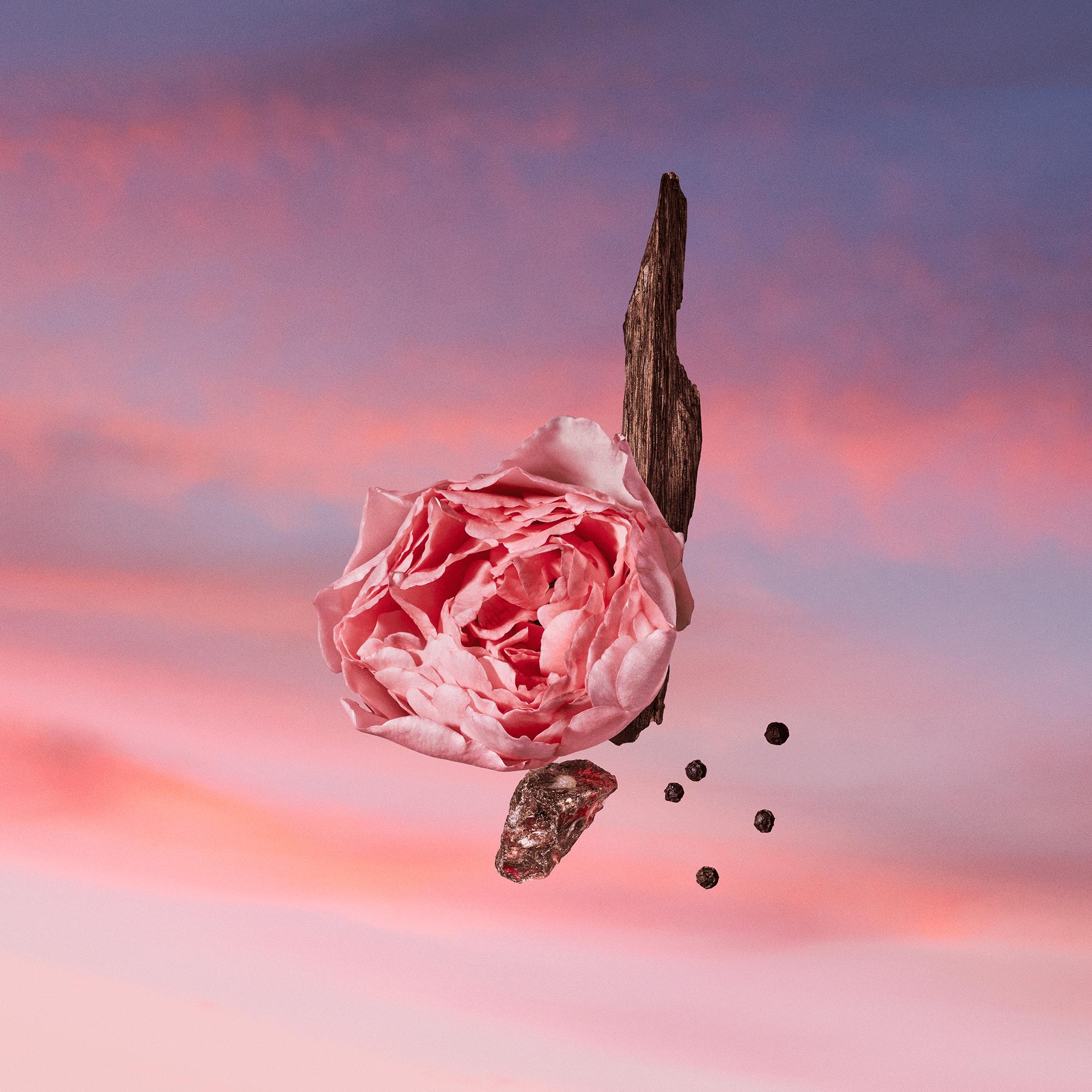 Les Sables Roses  in Perfumes and Beauty