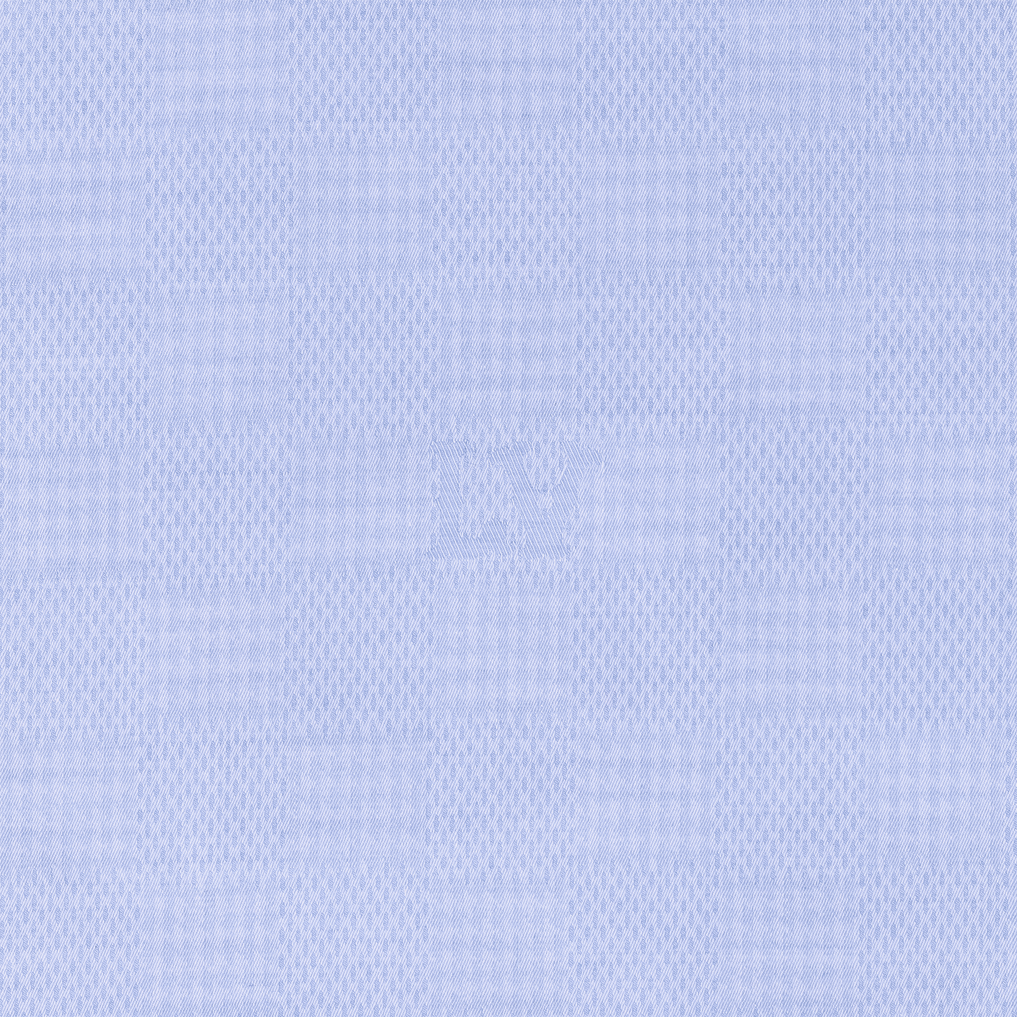 Long-Sleeved Cotton Shirt  in Men