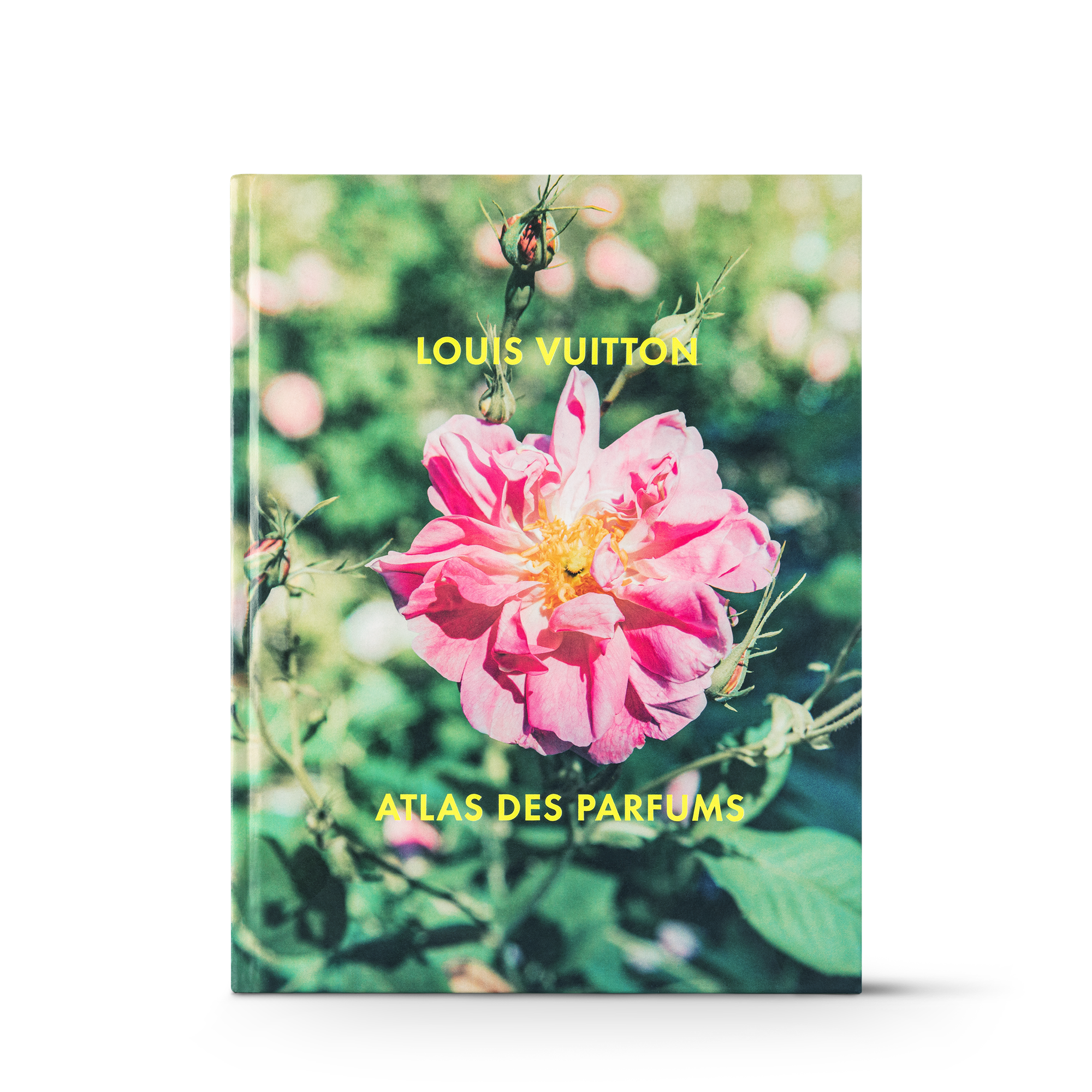 Rose (Not available)