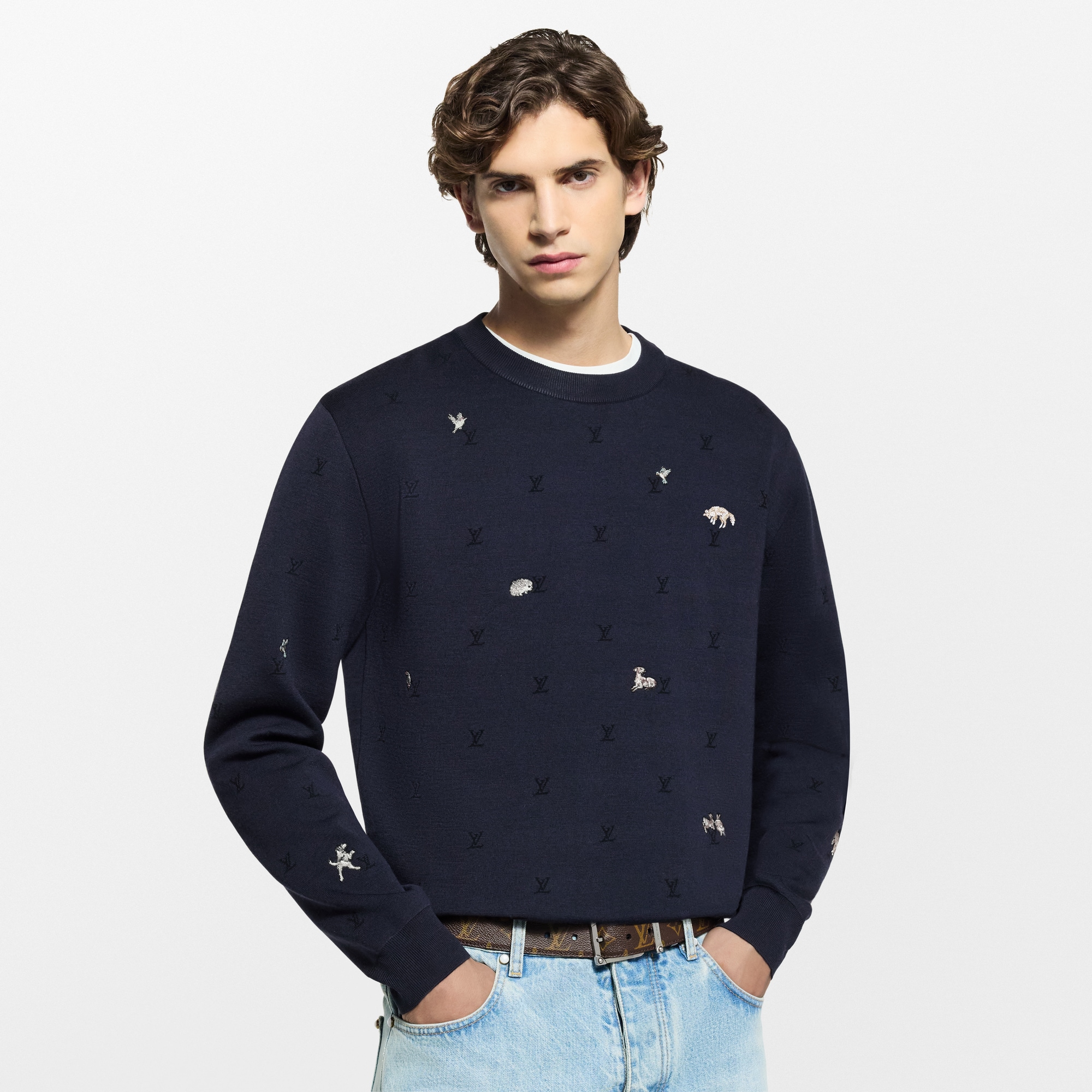 LV Blason Long-Sleeved Crewneck  in Men