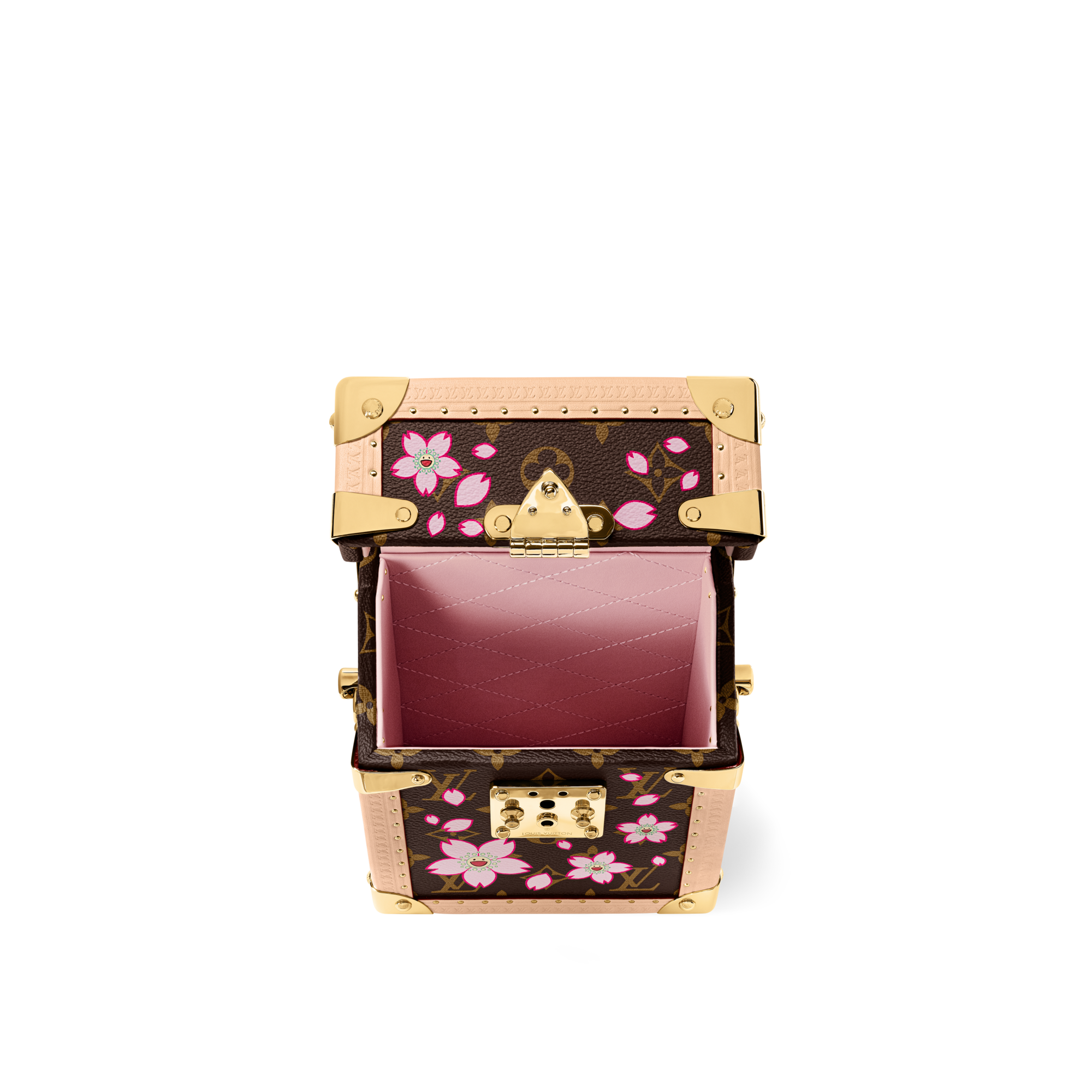 LV x TM Camera Box  Other Monogram Canvas in Trunks, Travel and Home