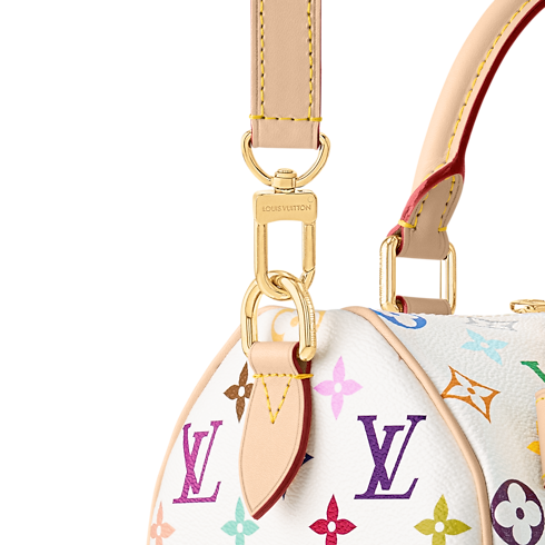 LV x TM Speedy Bandoulière 25 Other Monogram Canvas in Bags and Small Leather Goods's Women Bags LV Icons collections by Louis Vuitton (Product zoom)