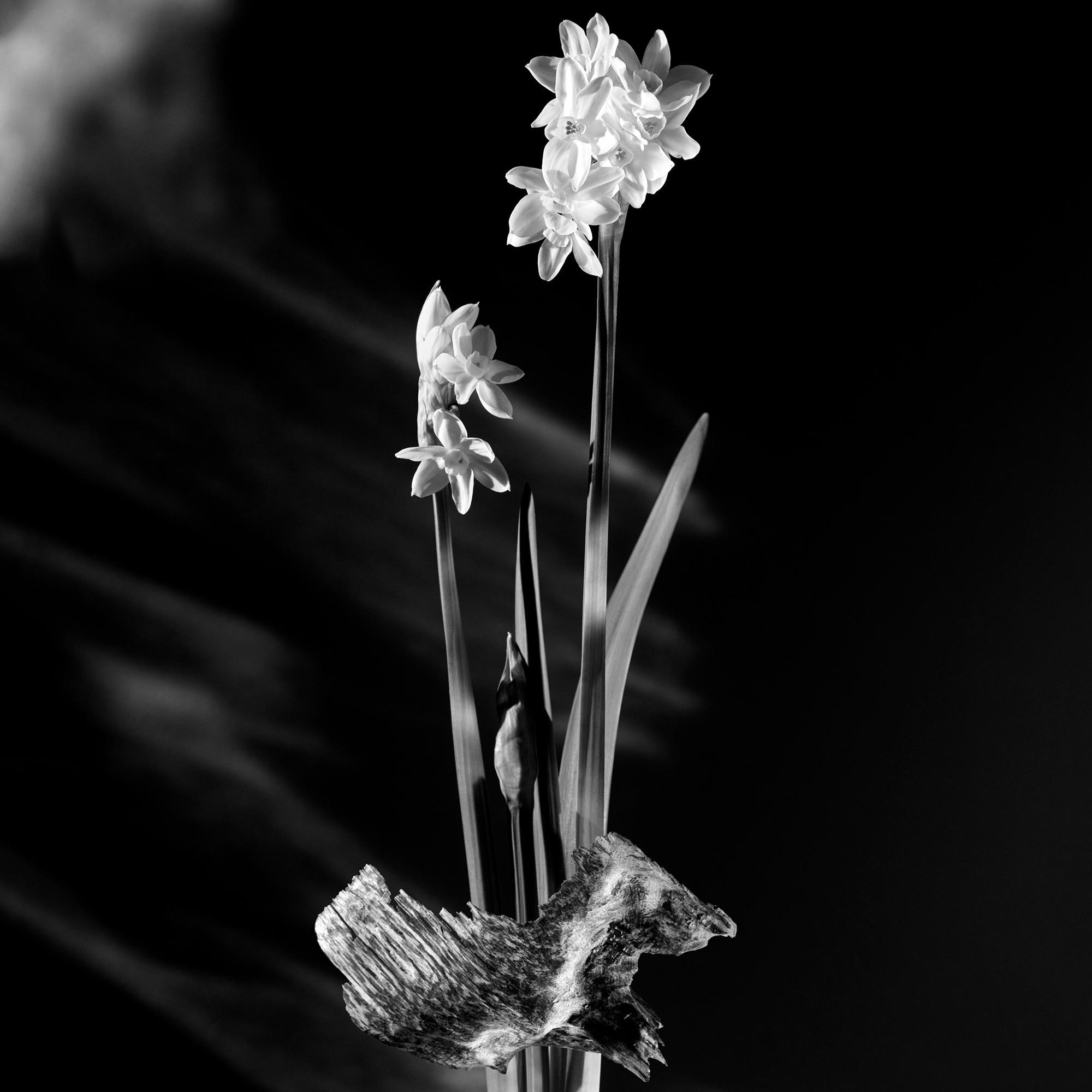 Matière Noire  in Perfumes and Beauty