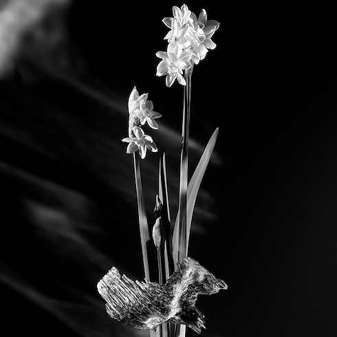 Matière Noire in Perfumes and Beauty's Collections Feminine Perfumes collections by Louis Vuitton (Product zoom)