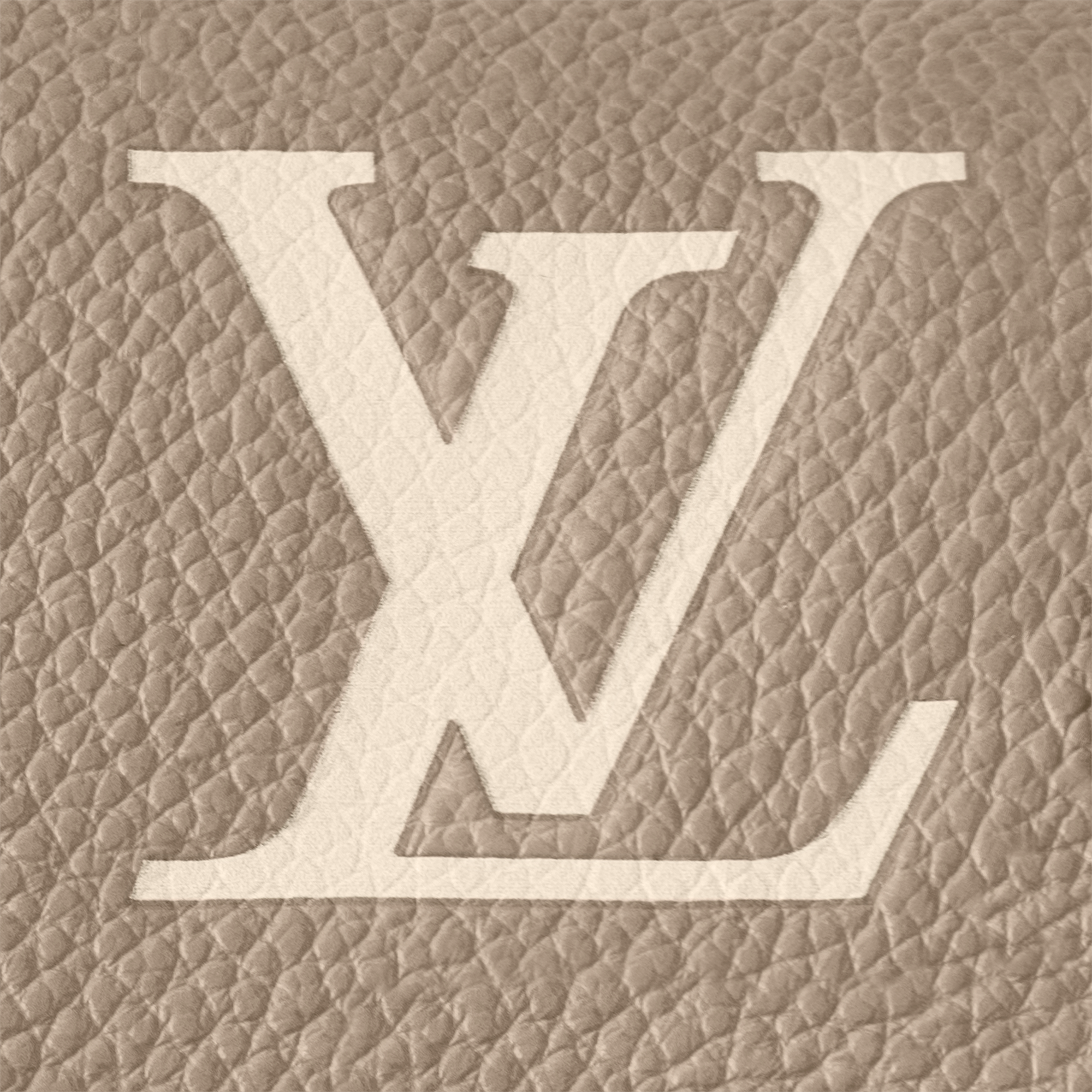 Nano Diane Bicolour Monogram Empreinte Leather in Women