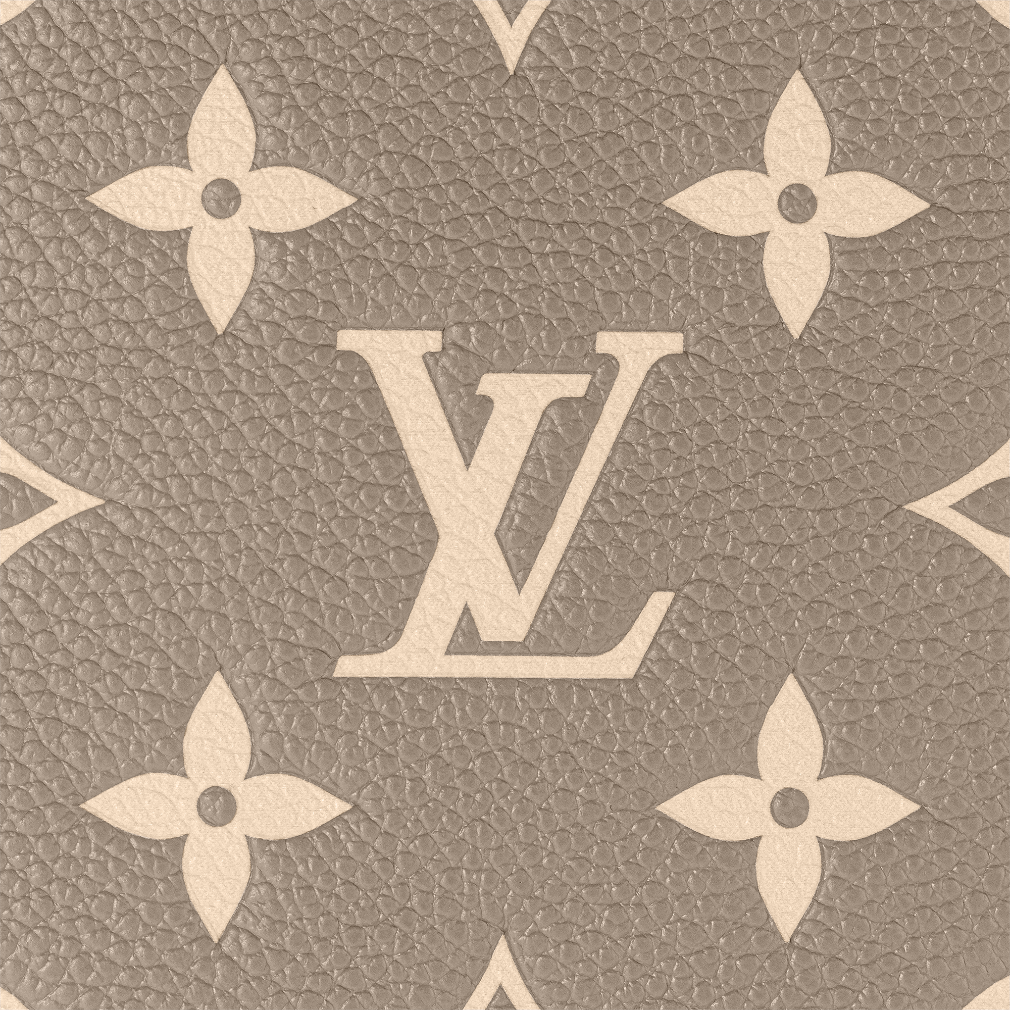 NéoNoé MM Bicolour Monogram Empreinte Leather in Women