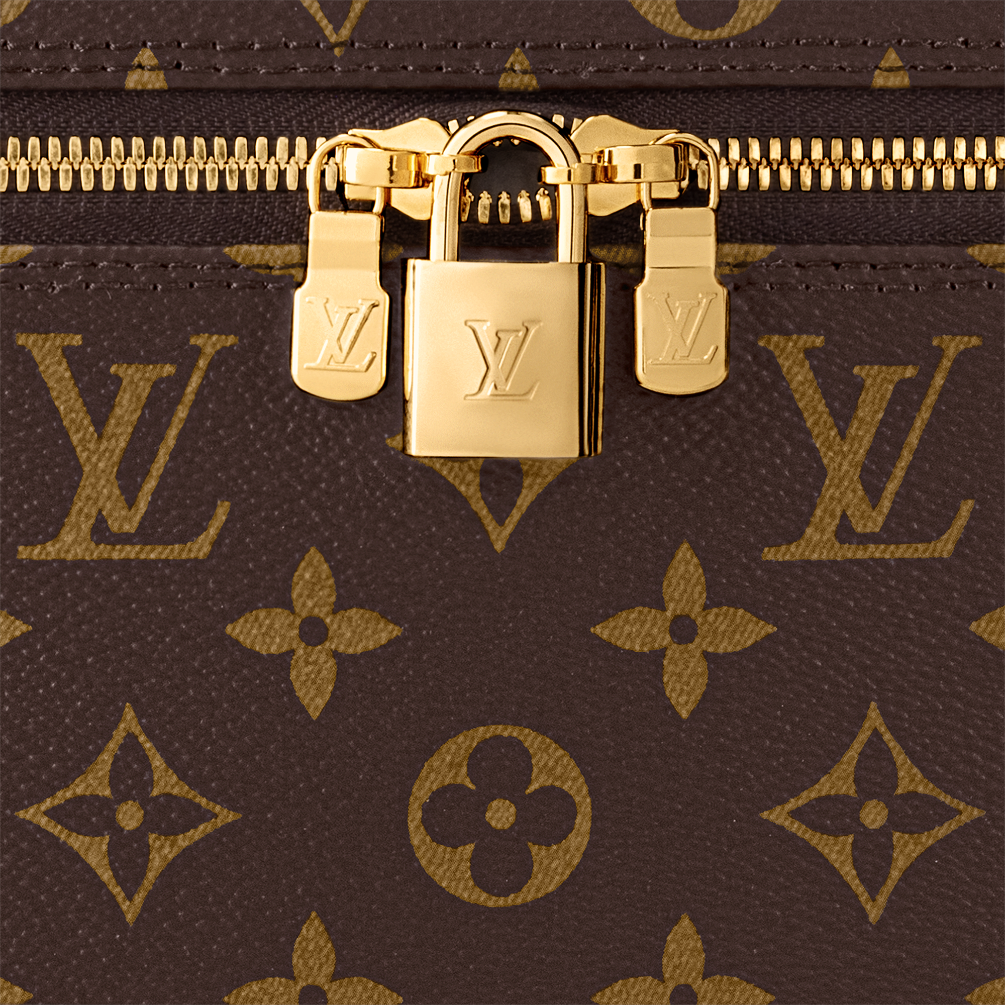 Nice Vanity Monogram Canvas in Women