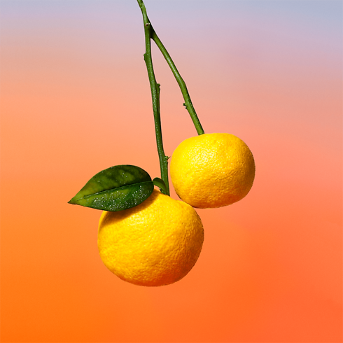 On the Beach in Perfumes and Beauty's Collections Masculine Perfumes collections by Louis Vuitton (Product zoom)