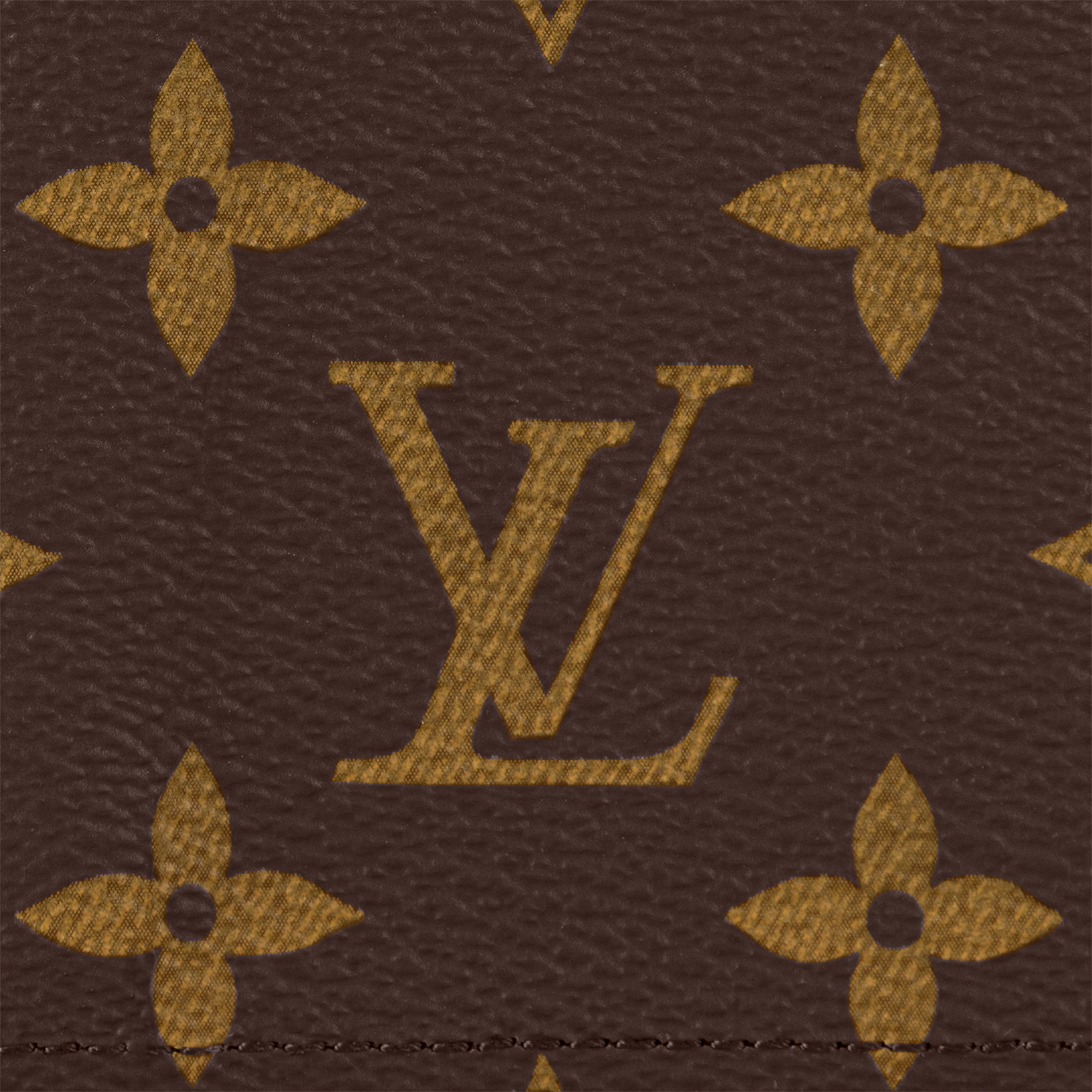 Passport Cover Monogram Canvas in Women