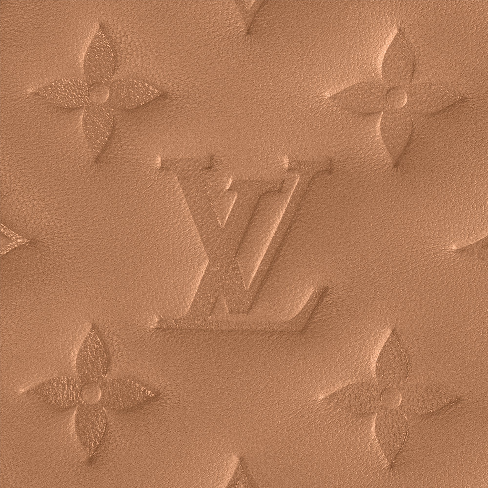 Pochette Coussin Coussin in Women