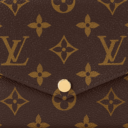 Pochette Félicie Monogram in Women's Handbags All Handbags for Women collections by Louis Vuitton (Product zoom)