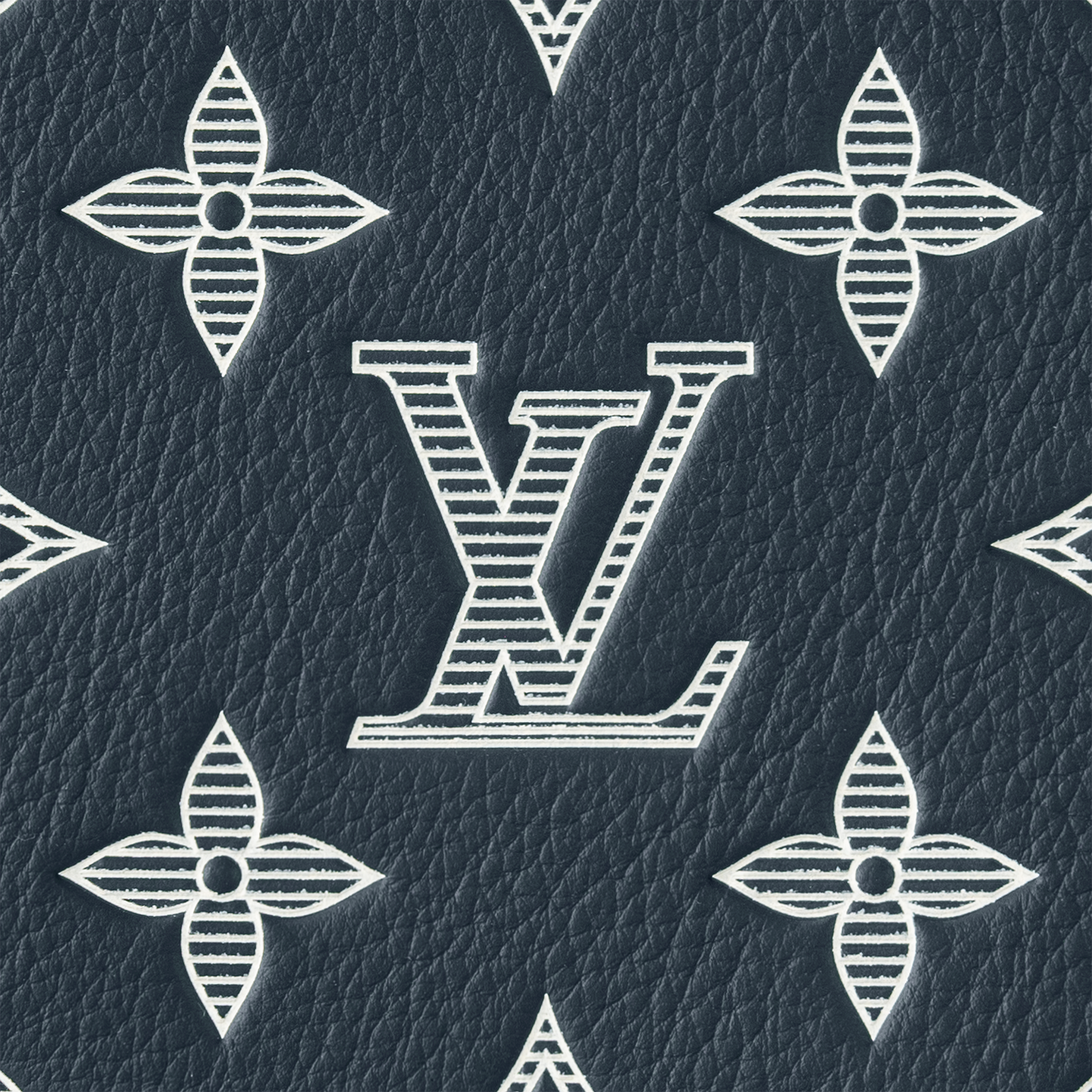 Pochette To-Go Monogram Shadow Leather in Men