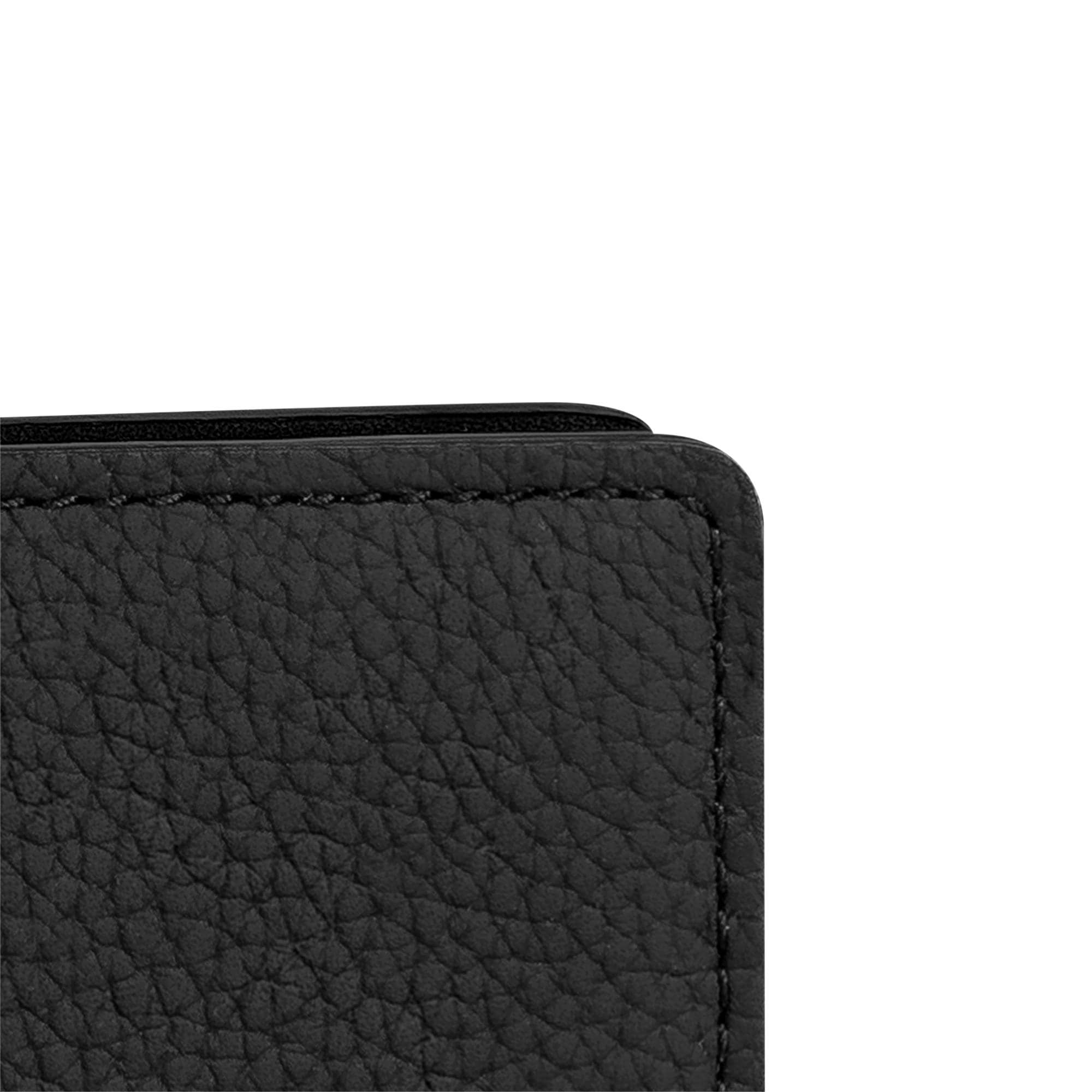 Pocket Organizer LV Aerogram in Men