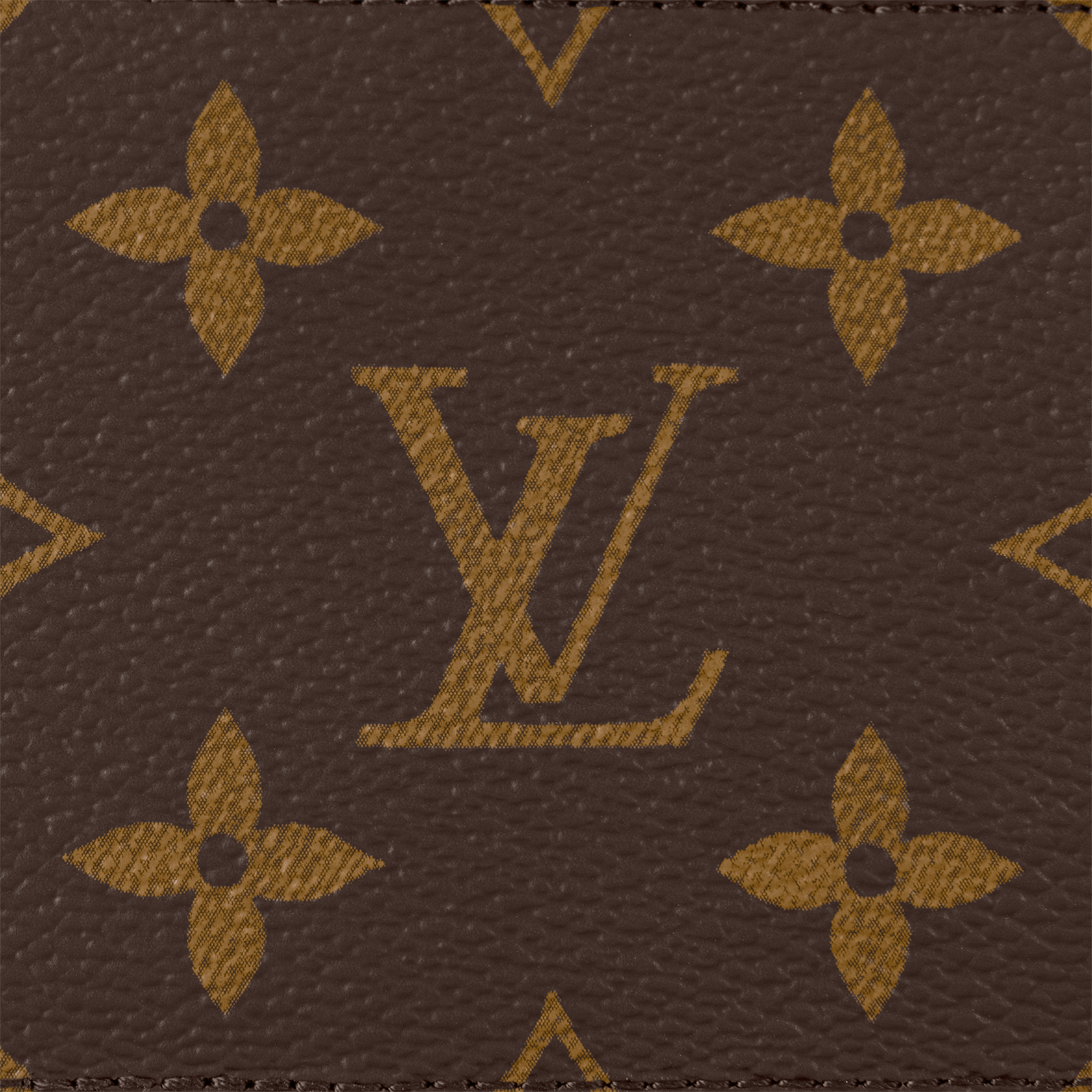 Romy Card Holder Monogram in Women