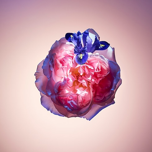 Rose des Vents in Perfumes and Beauty's Collections Feminine Perfumes collections by Louis Vuitton (Product zoom)