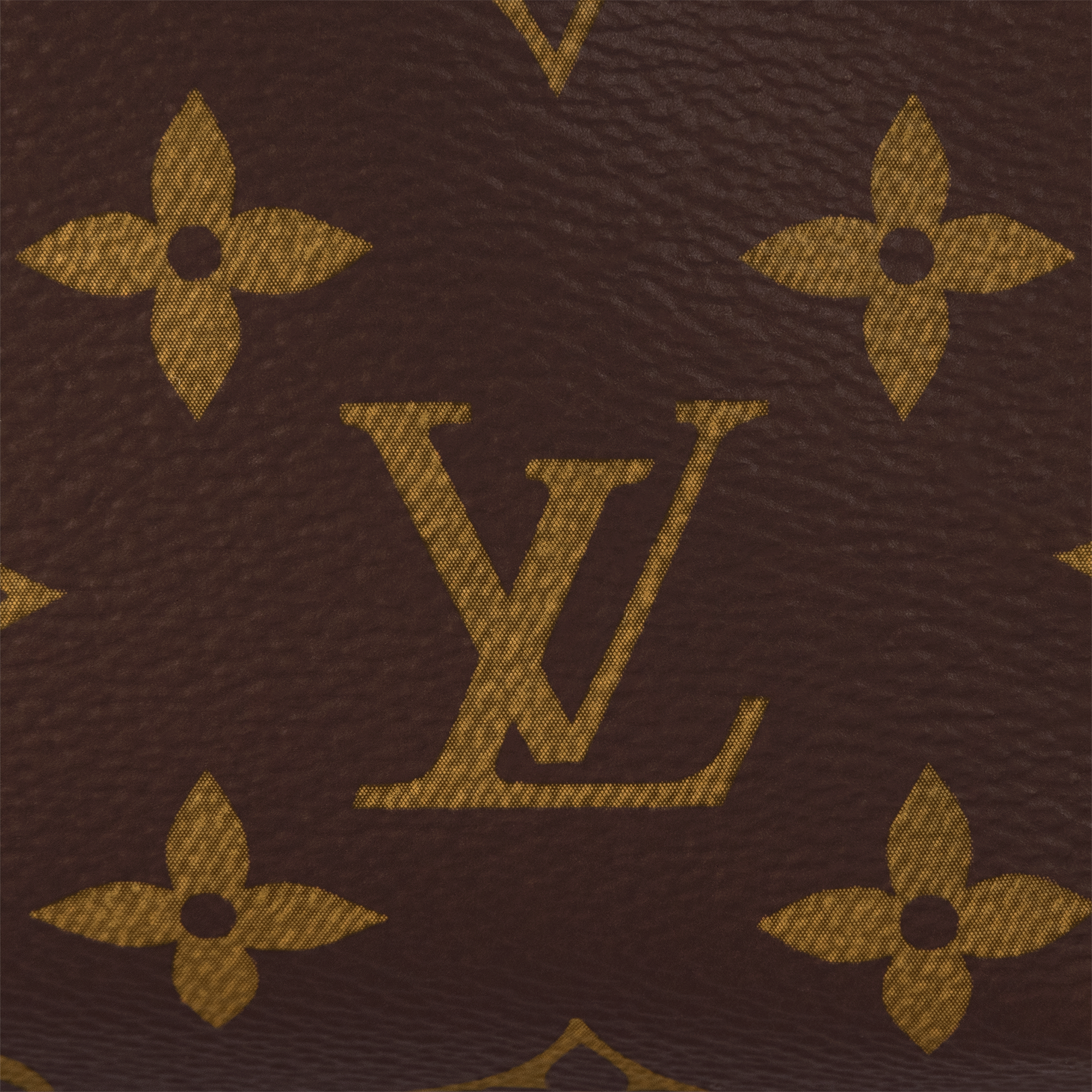 Side Trunk PM Monogram in Women
