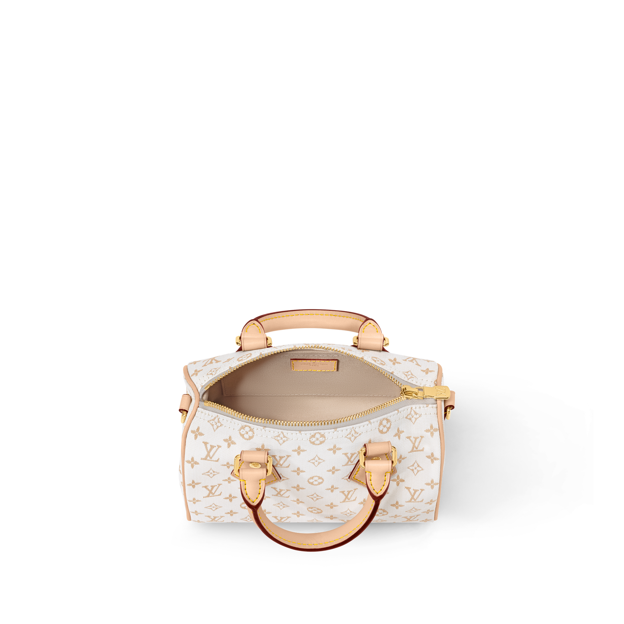 Speedy Bandoulière 20 Other Monogram Canvas in Women