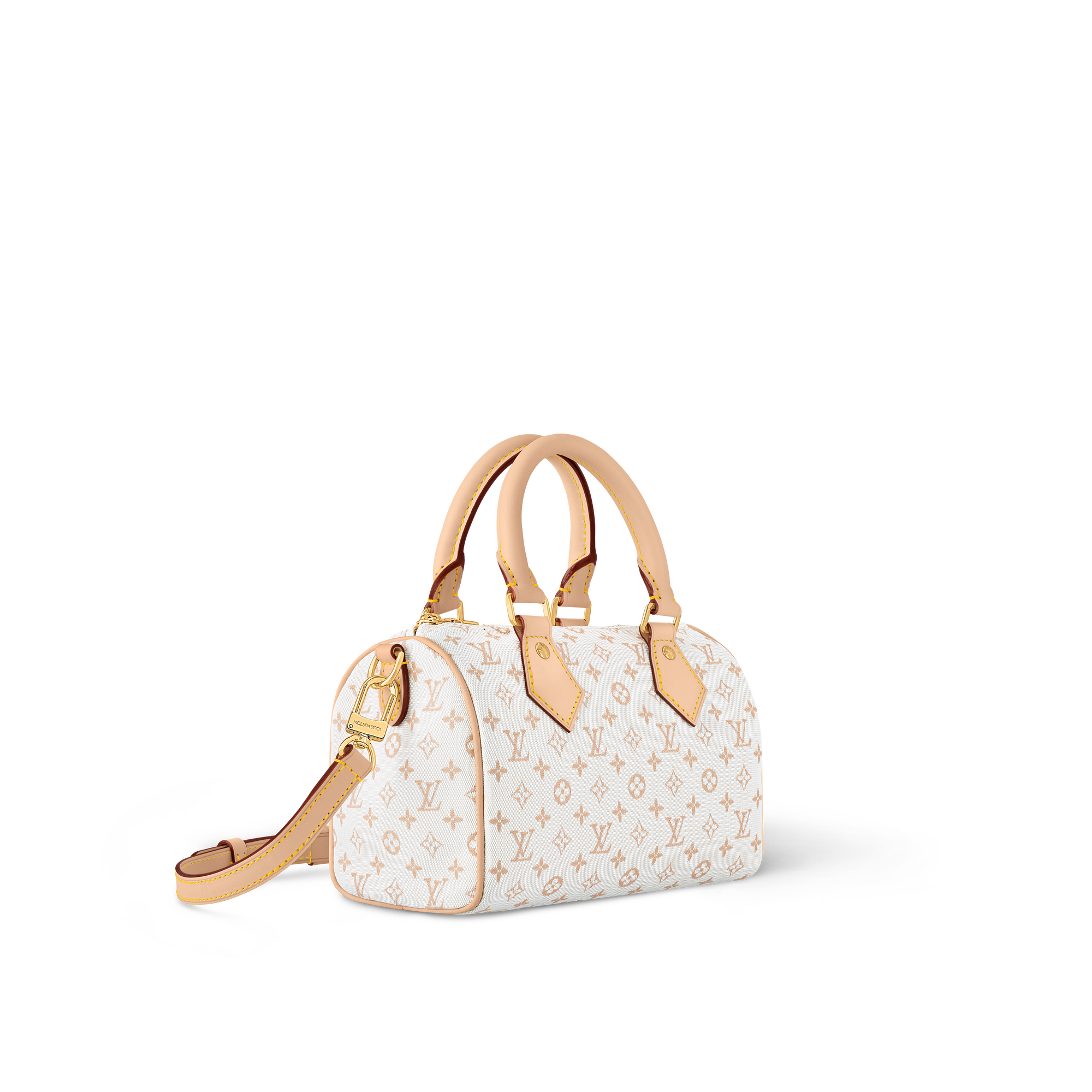 Speedy Bandoulière 20 Other Monogram Canvas in Women