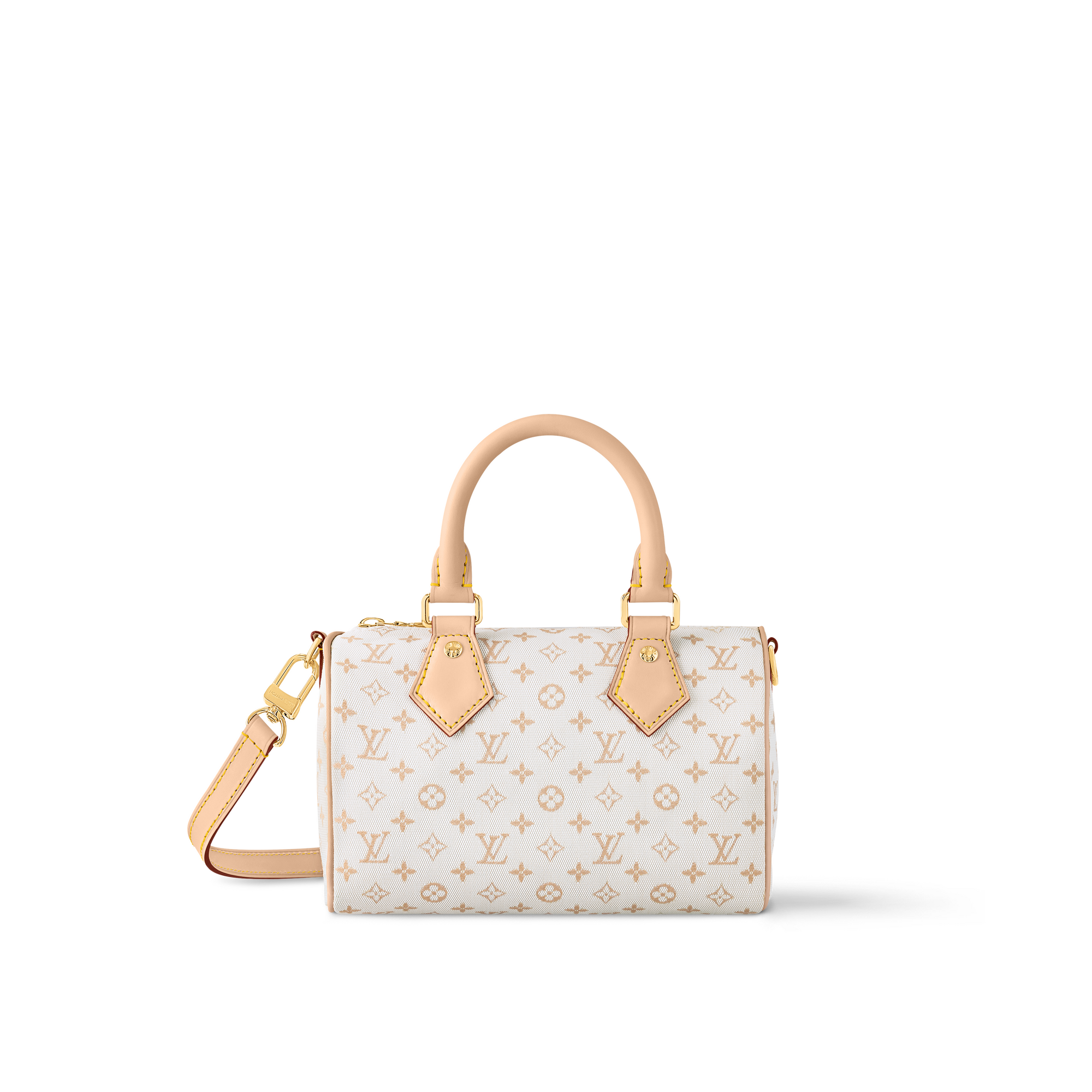 Speedy Bandoulière 20 Other Monogram Canvas in Women