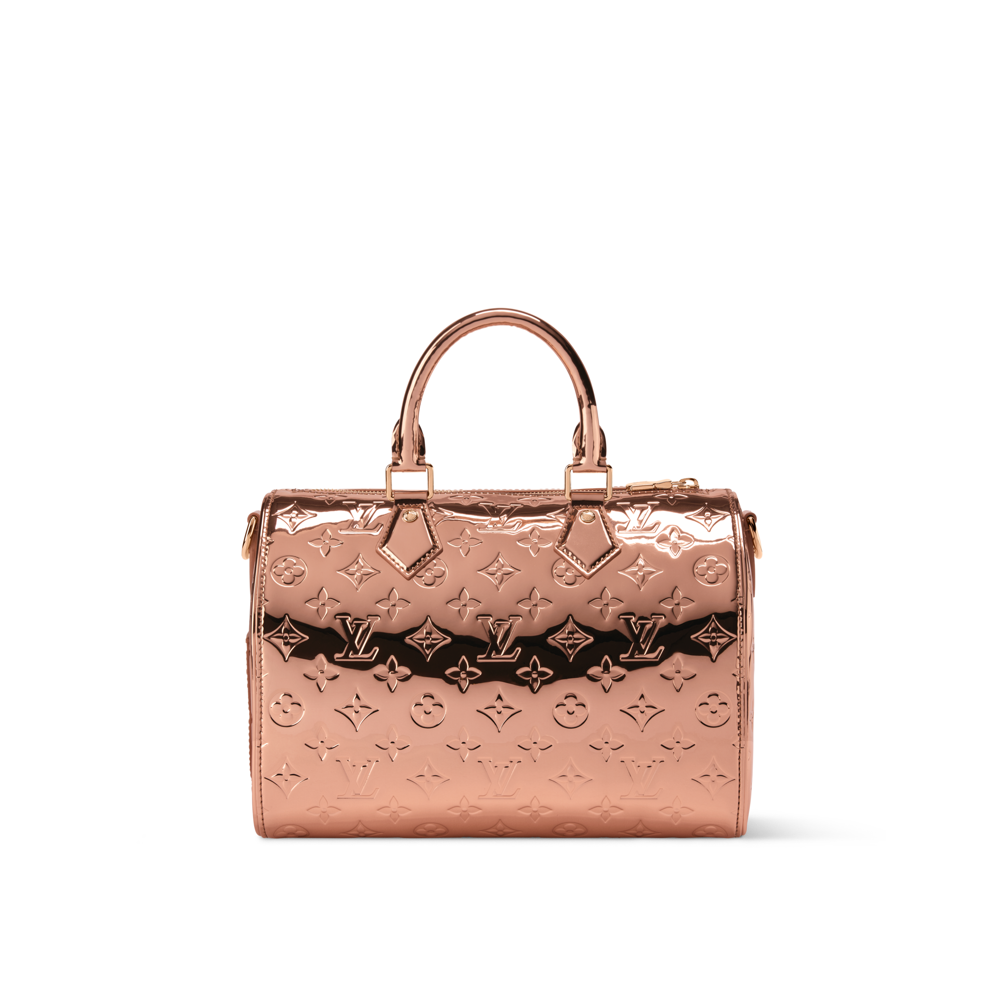Speedy Bandouliere 25 Other Monogram Canvas in Bags and Small Leather Goods