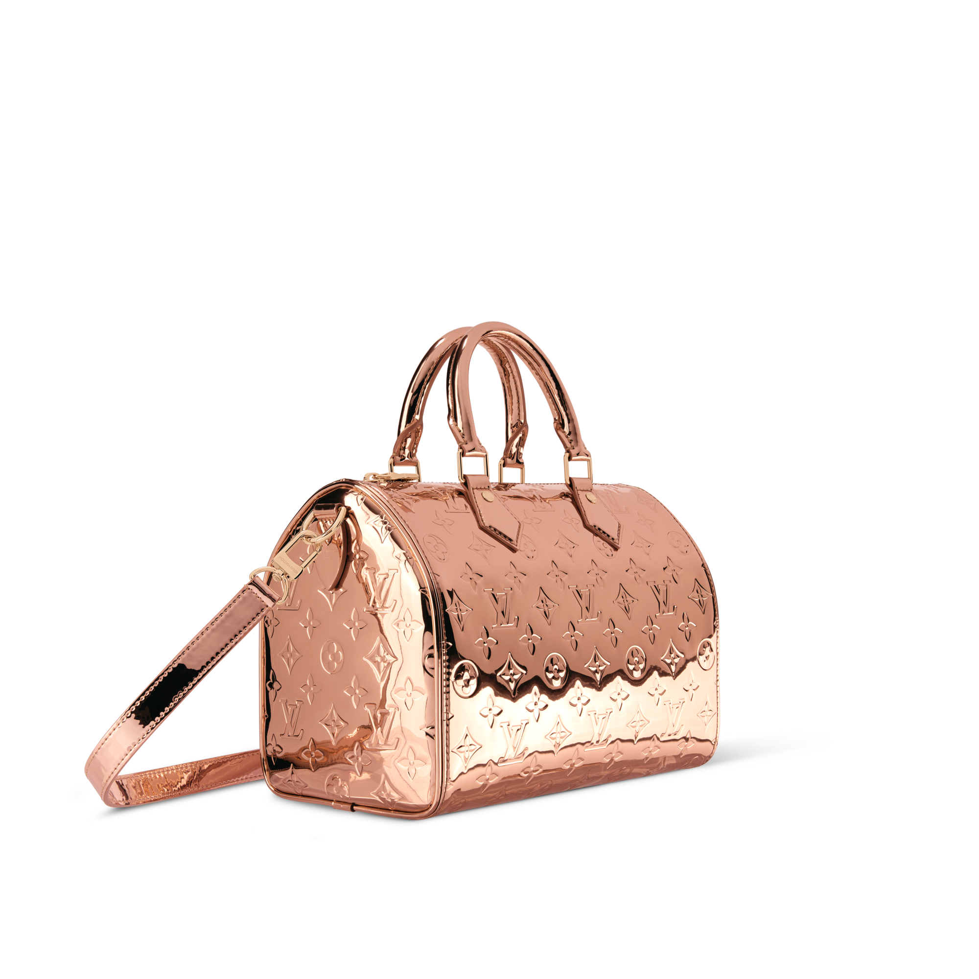 Speedy Bandouliere 25 Other Monogram Canvas in Bags and Small Leather Goods