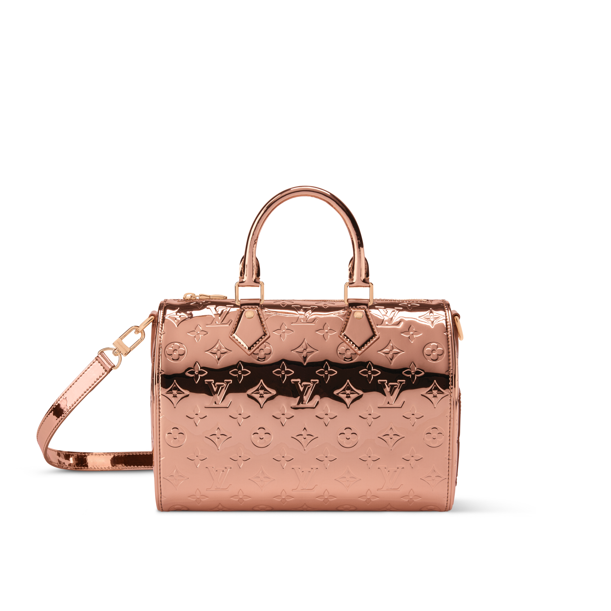 Speedy Bandouliere 25 Other Monogram Canvas in Bags and Small Leather Goods
