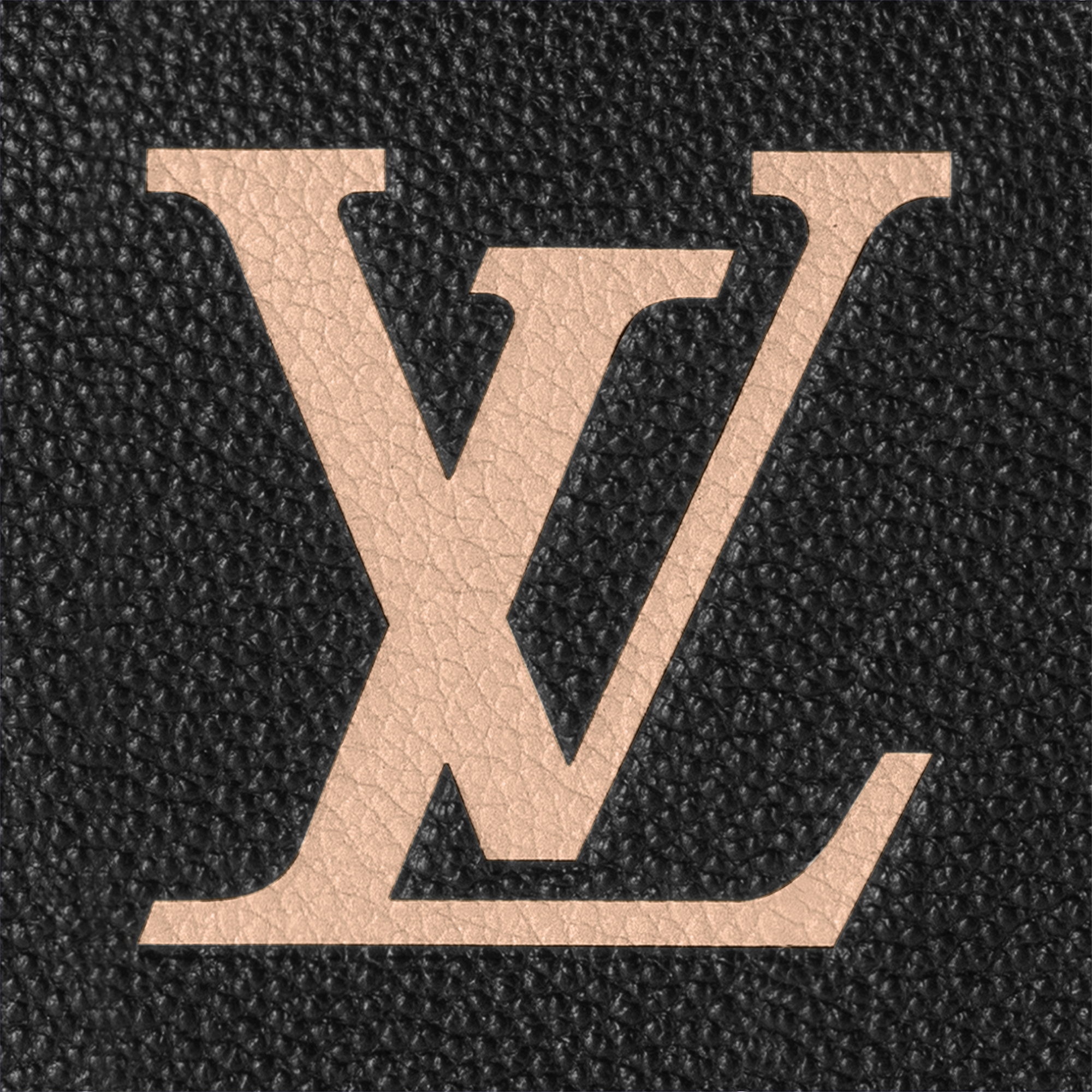 Speedy Bandoulière 25 Bicolour Monogram Empreinte Leather in Women