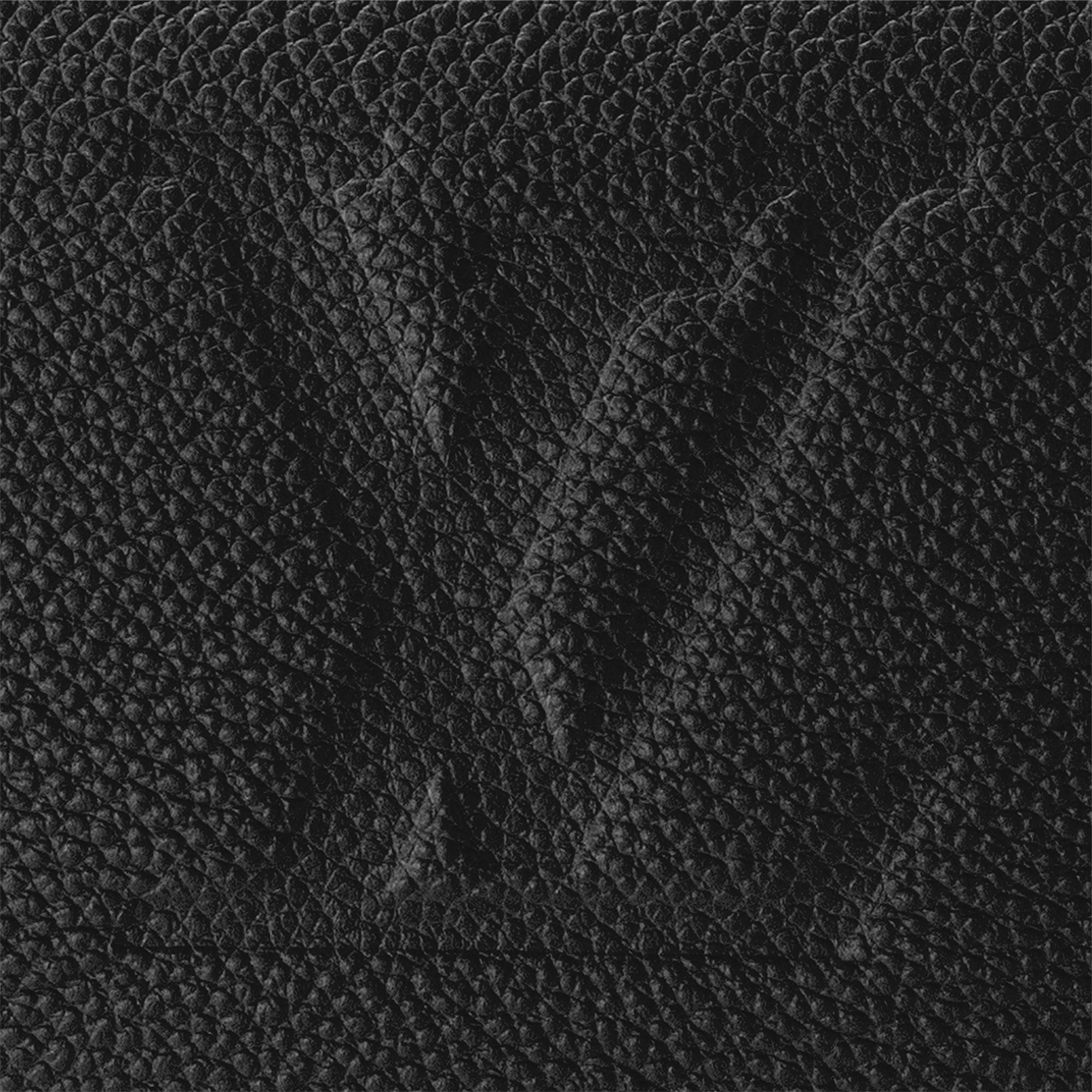 Speedy Bandoulière 25 Monogram Empreinte Leather in Women