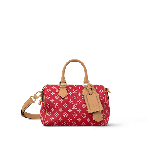 Speedy P9 25 Autruche in Les Extraordinaires's Exotics Men City Bags collections by Louis Vuitton (Product zoom)