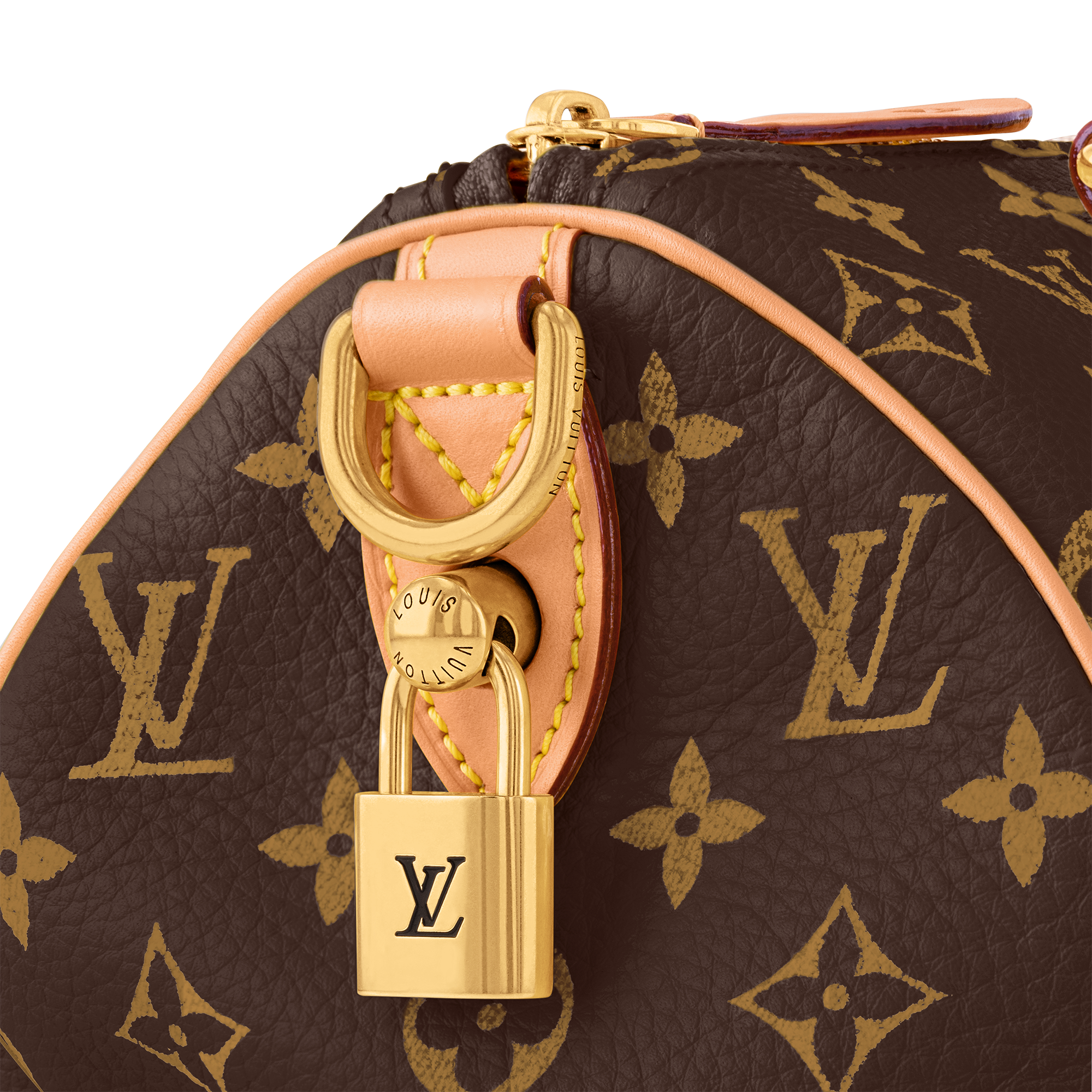 Speedy P9 Bandoulière 25 Autres Cuirs Monogram in Les Extraordinaires