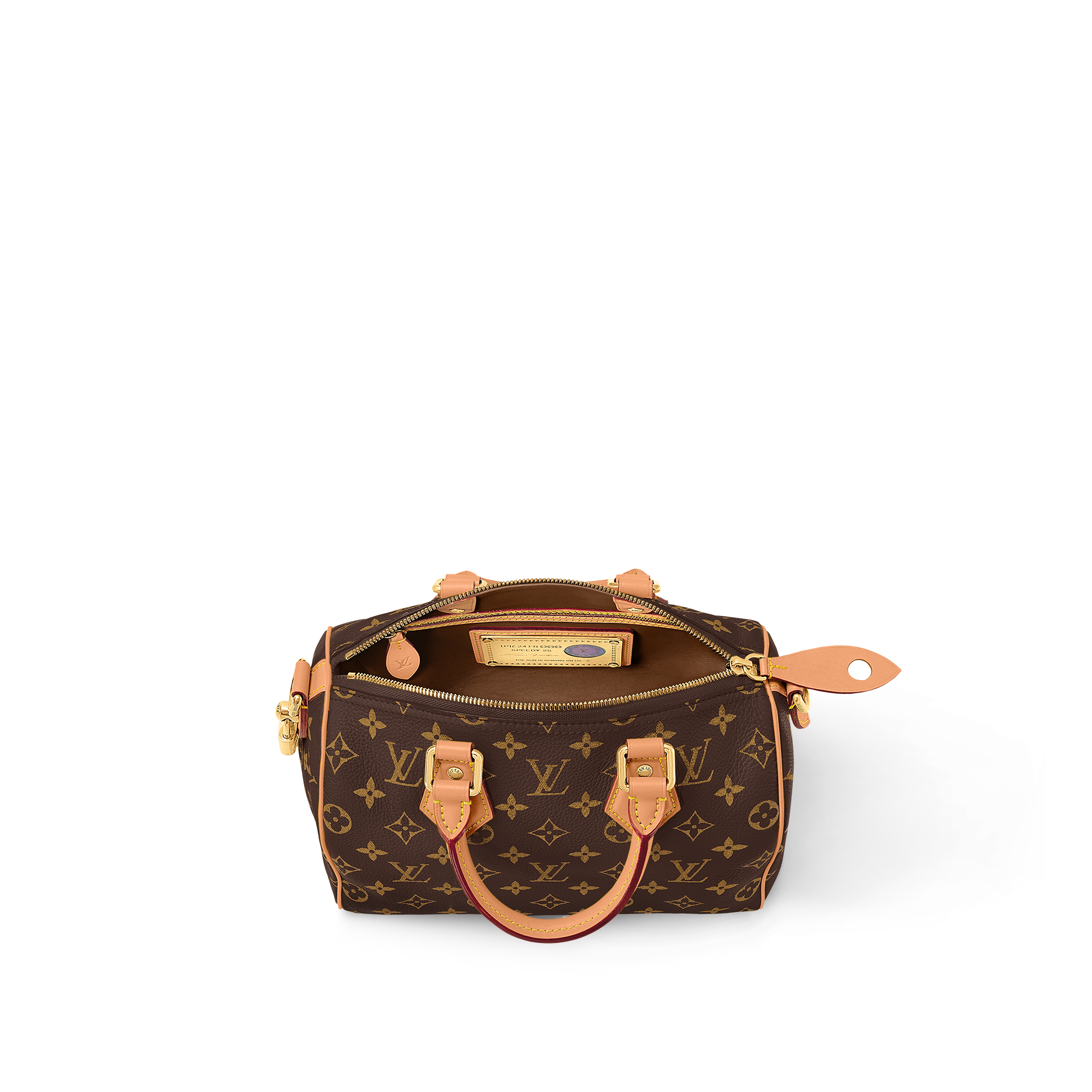 Speedy P9 Bandoulière 25 Autres Cuirs Monogram in Les Extraordinaires