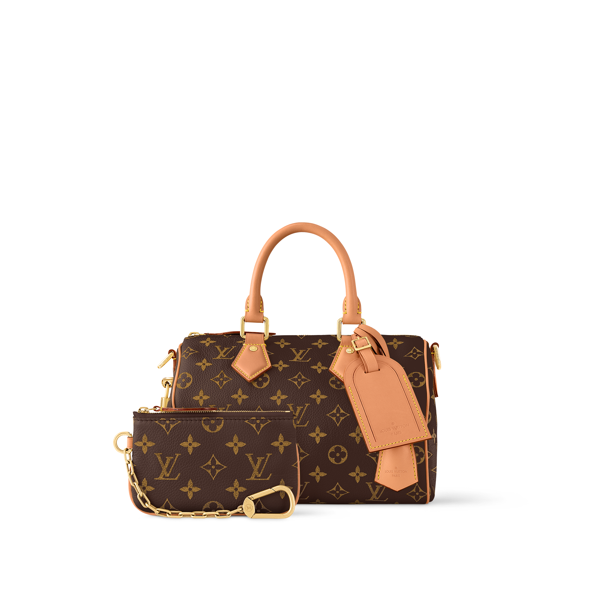 Speedy P9 Bandoulière 25 Autres Cuirs Monogram in Les Extraordinaires