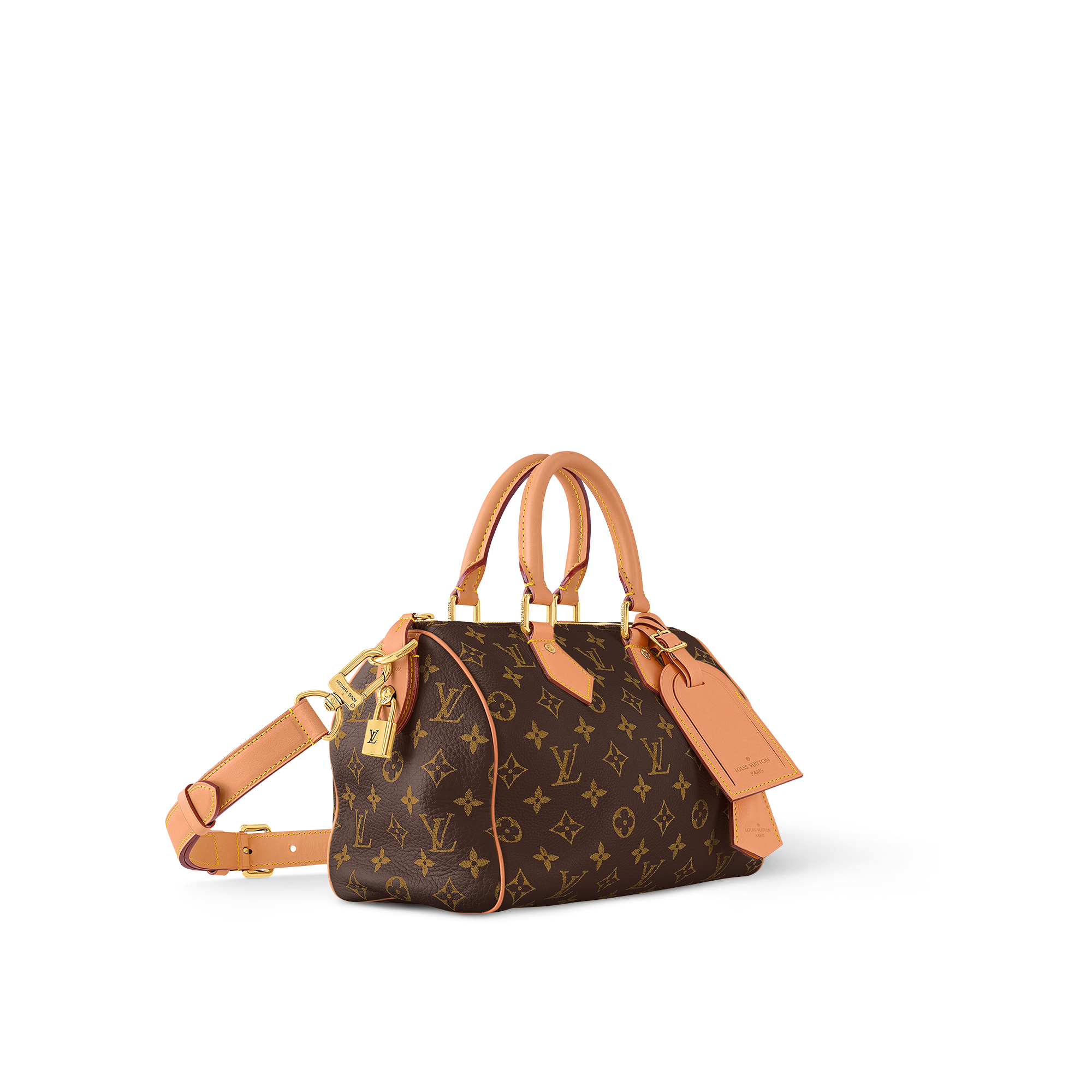Speedy P9 Bandoulière 25 Autres Cuirs Monogram in Les Extraordinaires