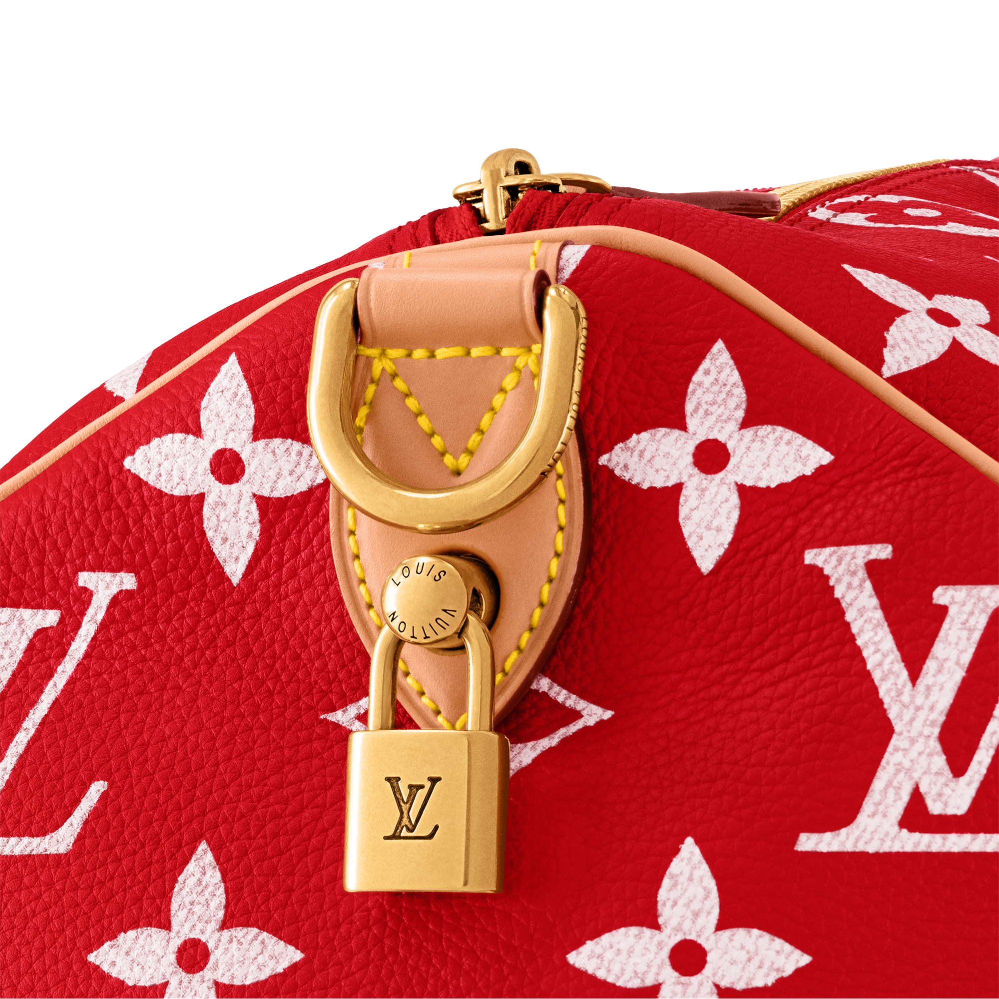 Speedy P9 Bandoulière 50 Autres Cuirs Monogram in Les Extraordinaires