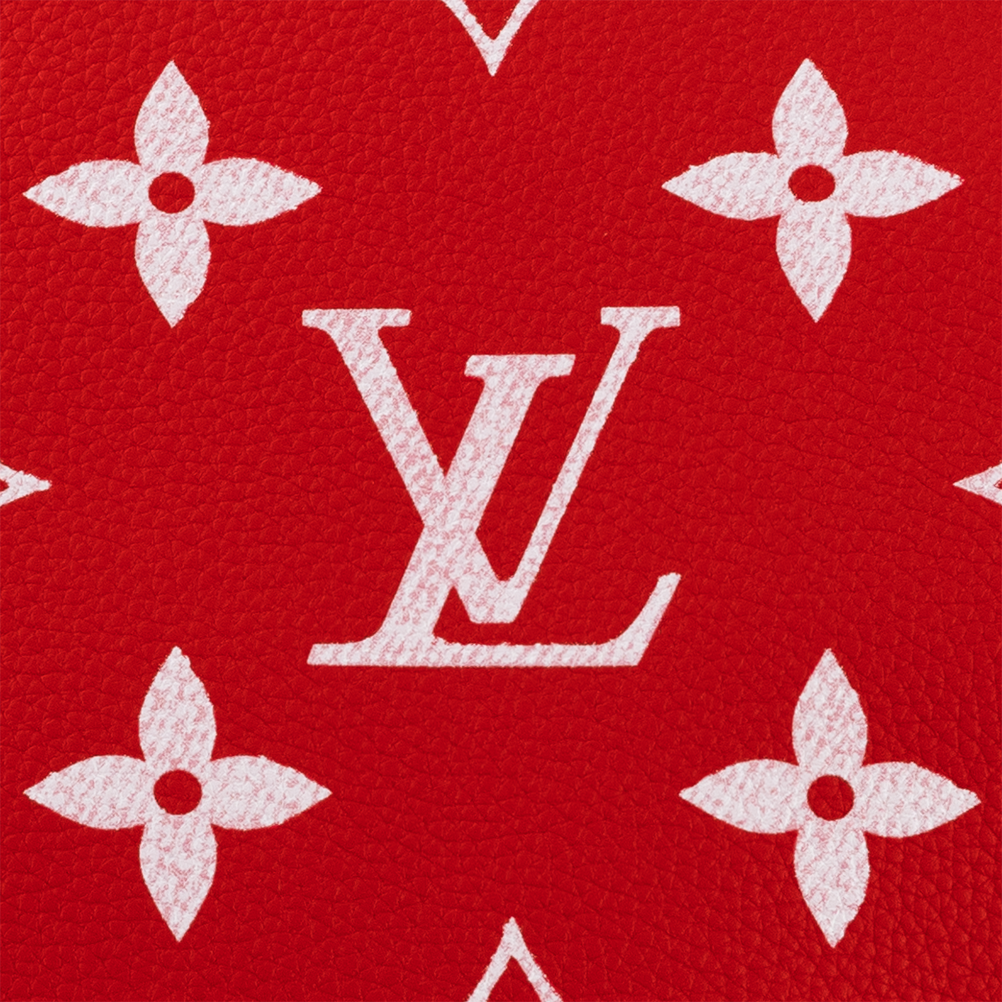 Speedy P9 Bandoulière 50 Autres Cuirs Monogram in Les Extraordinaires