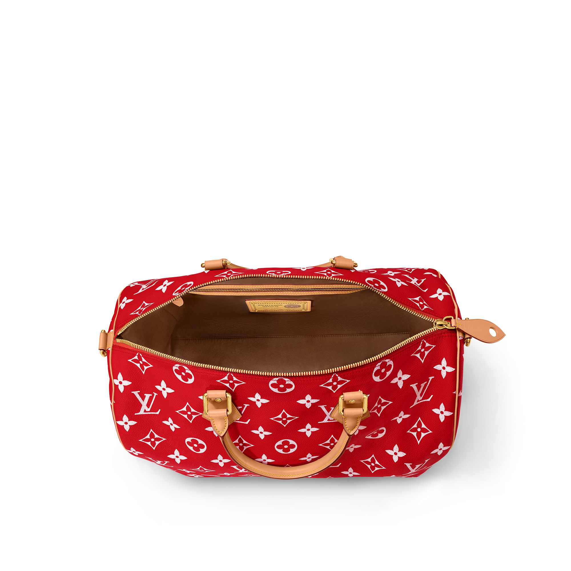 Speedy P9 Bandoulière 50 Autres Cuirs Monogram in Les Extraordinaires