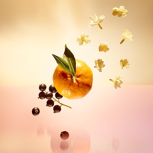 TRAVEL SPRAY LE JOUR SE LÈVE in Perfumes and Beauty's Collections Travel collections by Louis Vuitton (Product zoom)